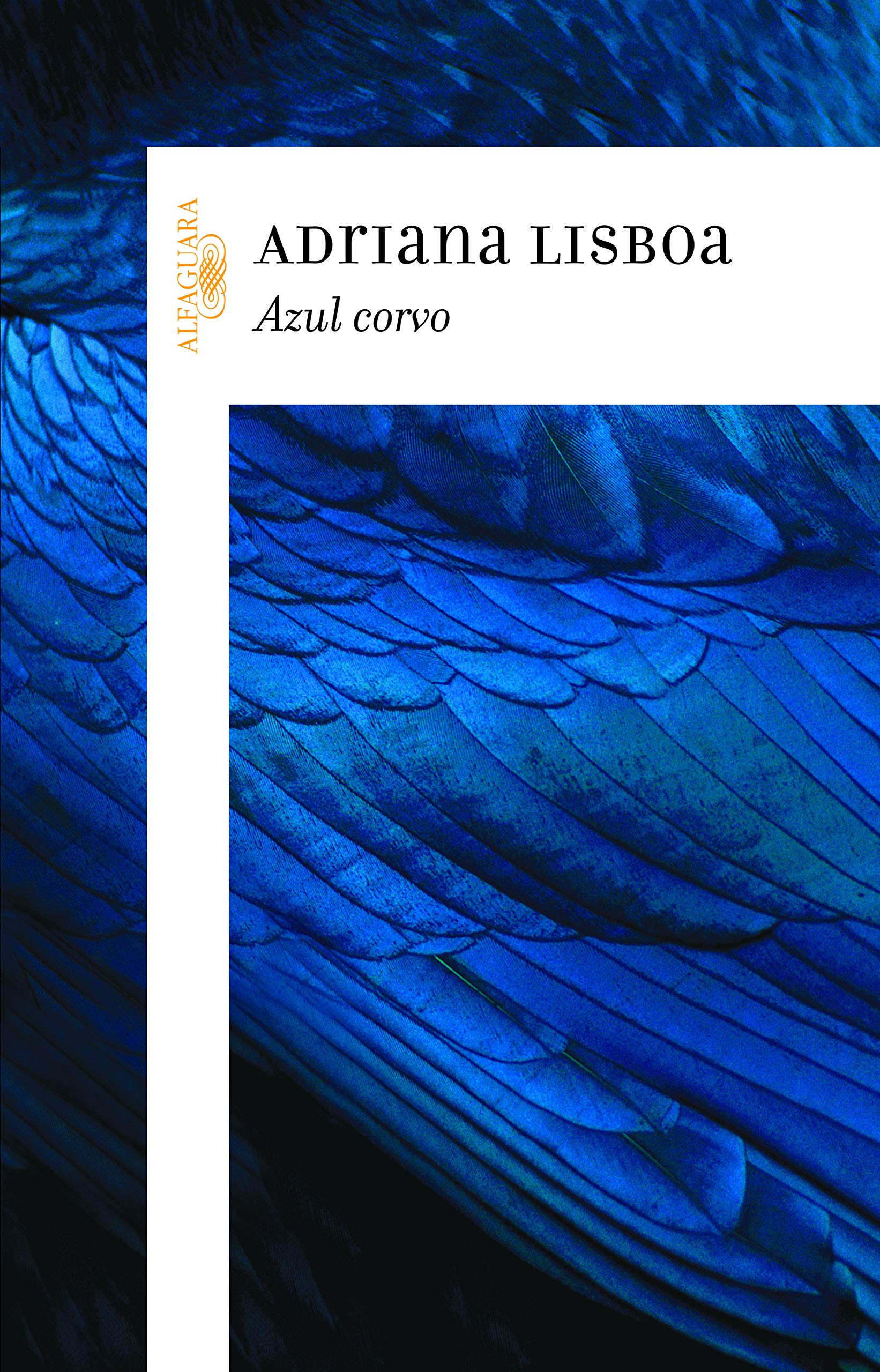 Azul Corvo (Em Portuguese do Brasil) book