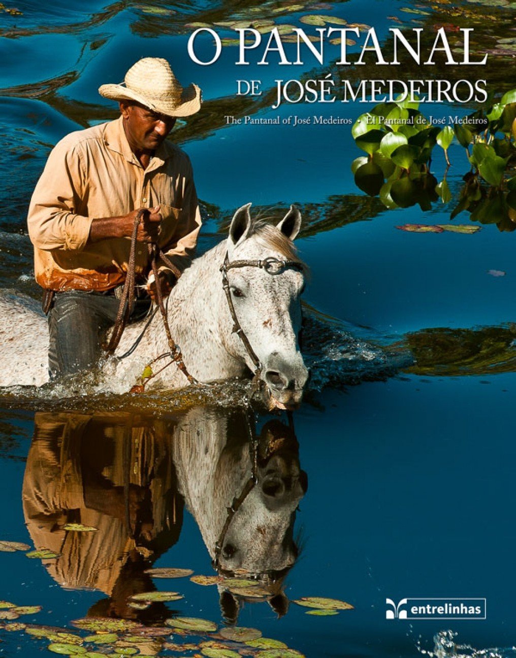 O Pantanal De Jose Medeiros (Em Portuguese do Brasil) book