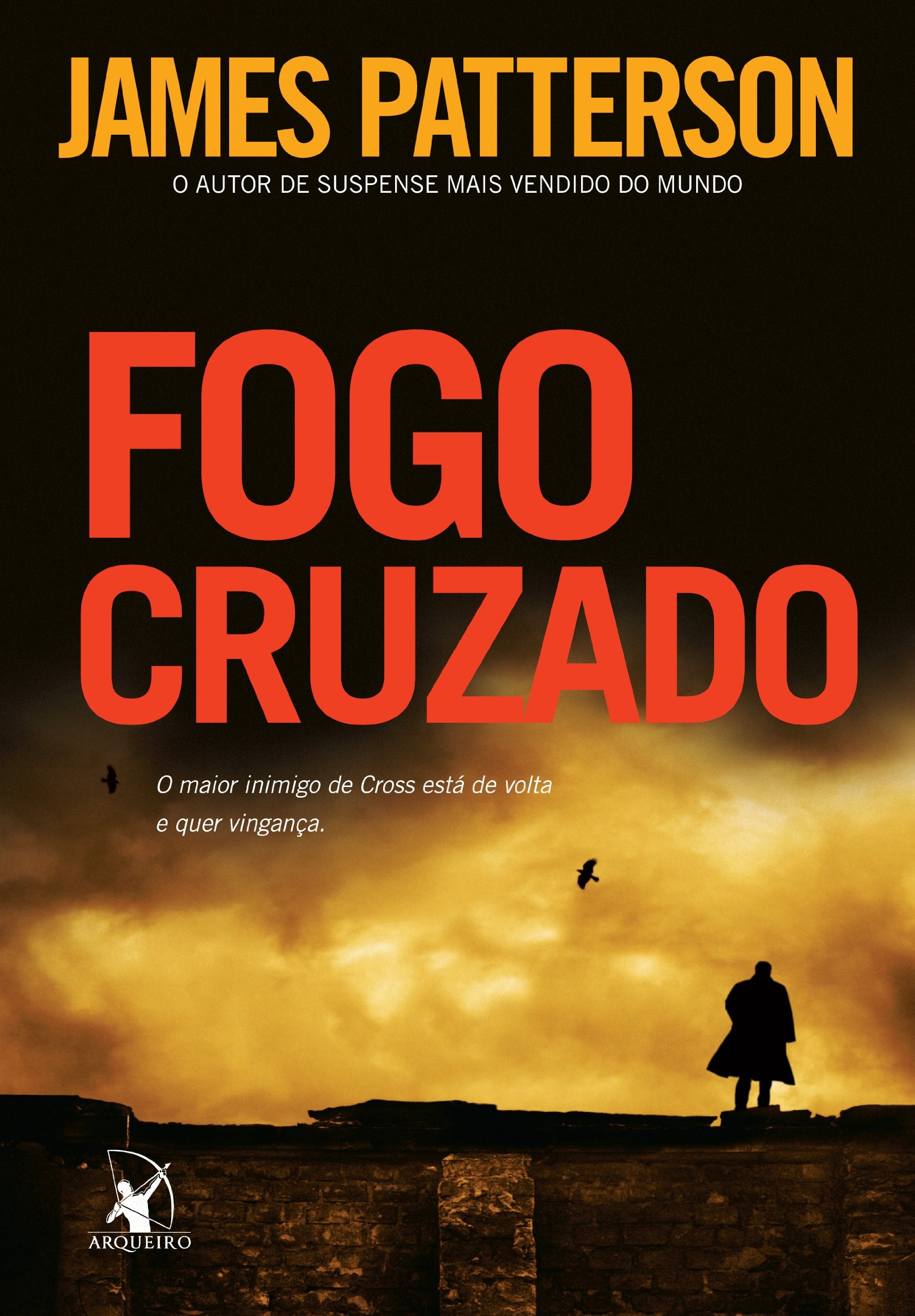 Fogo Cruzado (Em Portuguese do Brasil) book