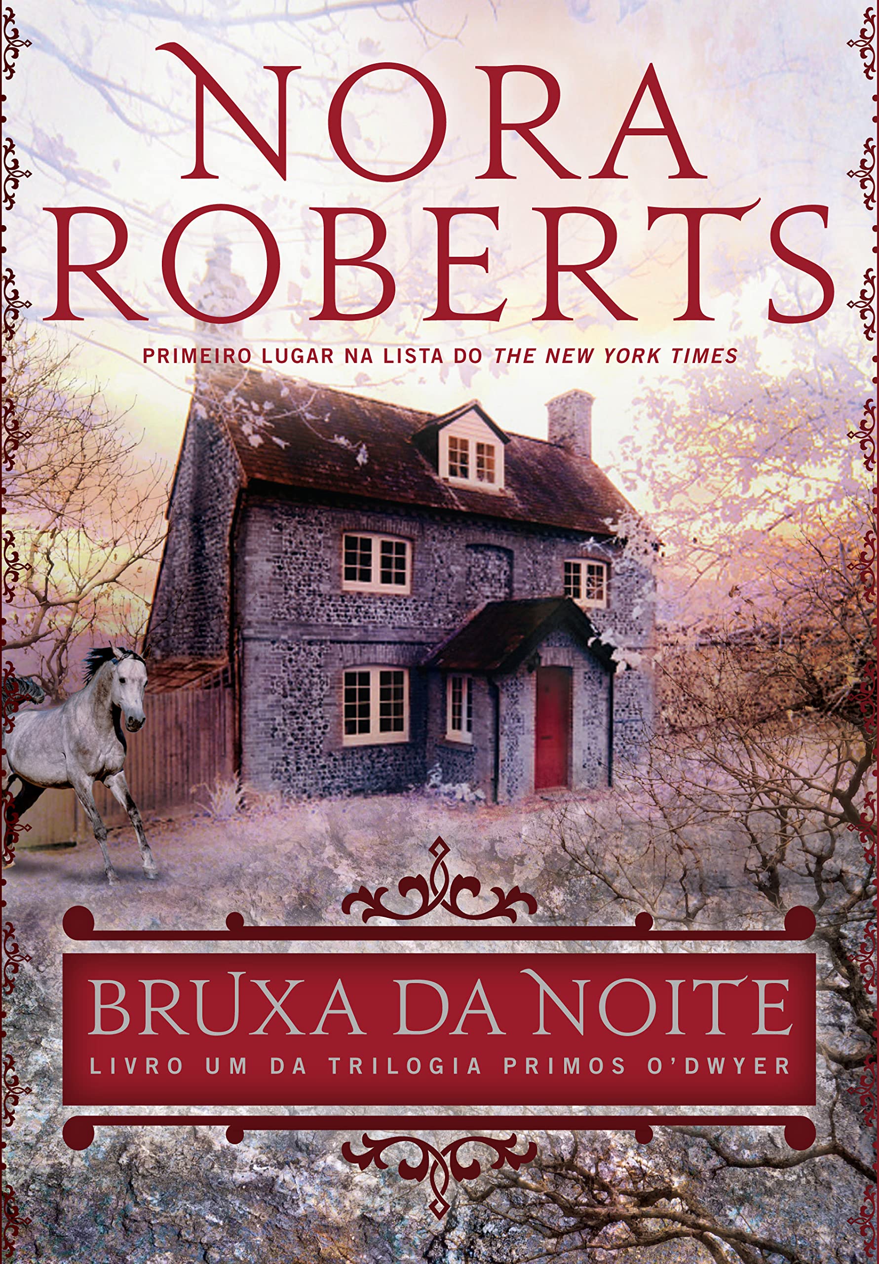 Bruxa da Noite. Primos O'Dwyer - Livro 1 (Em Portuguese do Brasil) Books