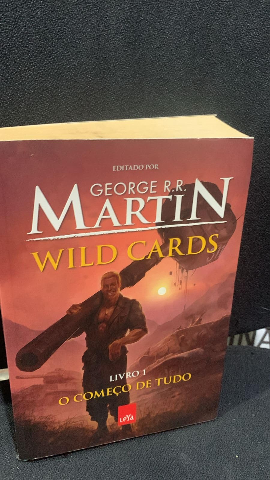 Wild Cards. O Começo de Tudo (Em Portuguese do Brasil) Books