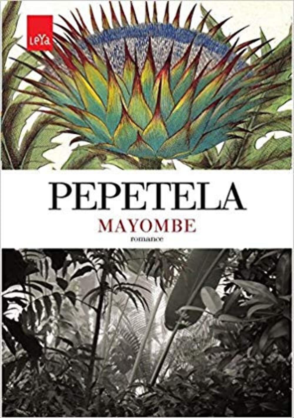 Mayombe (Em Portuguese do Brasil) book