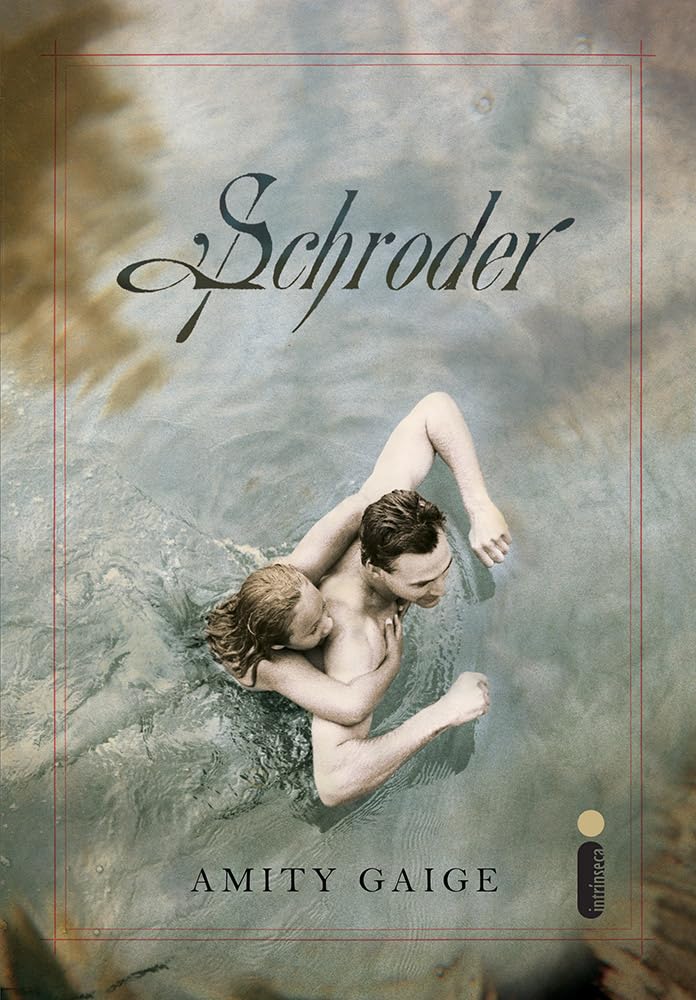 Schroder (Em Portuguese do Brasil) book
