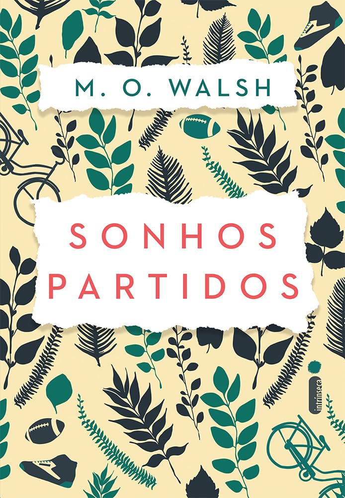 Sonhos Partidos (Em Portuguese do Brasil) Books