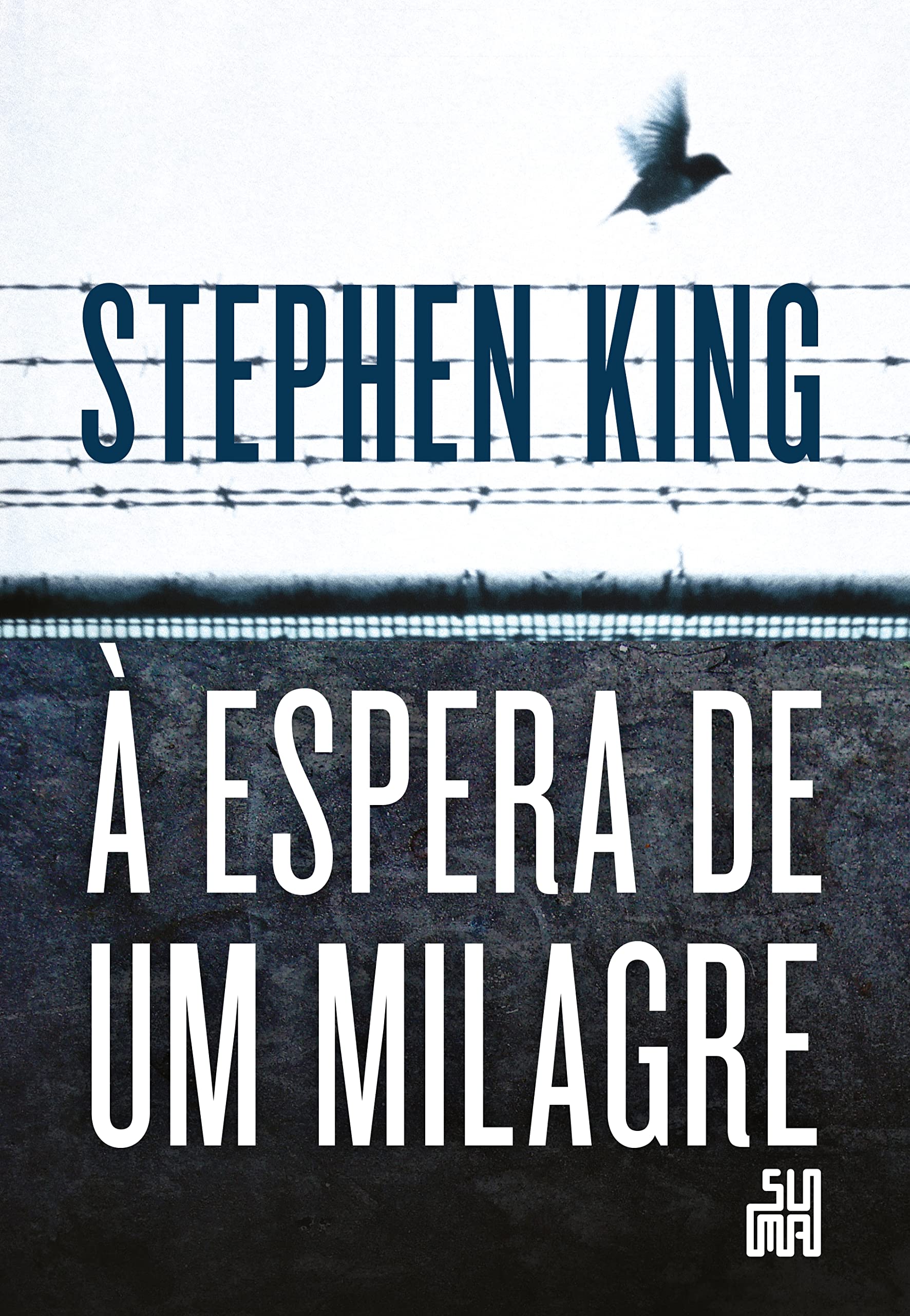 À Espera De Um Milagre (Em Portuguese do Brasil) Books