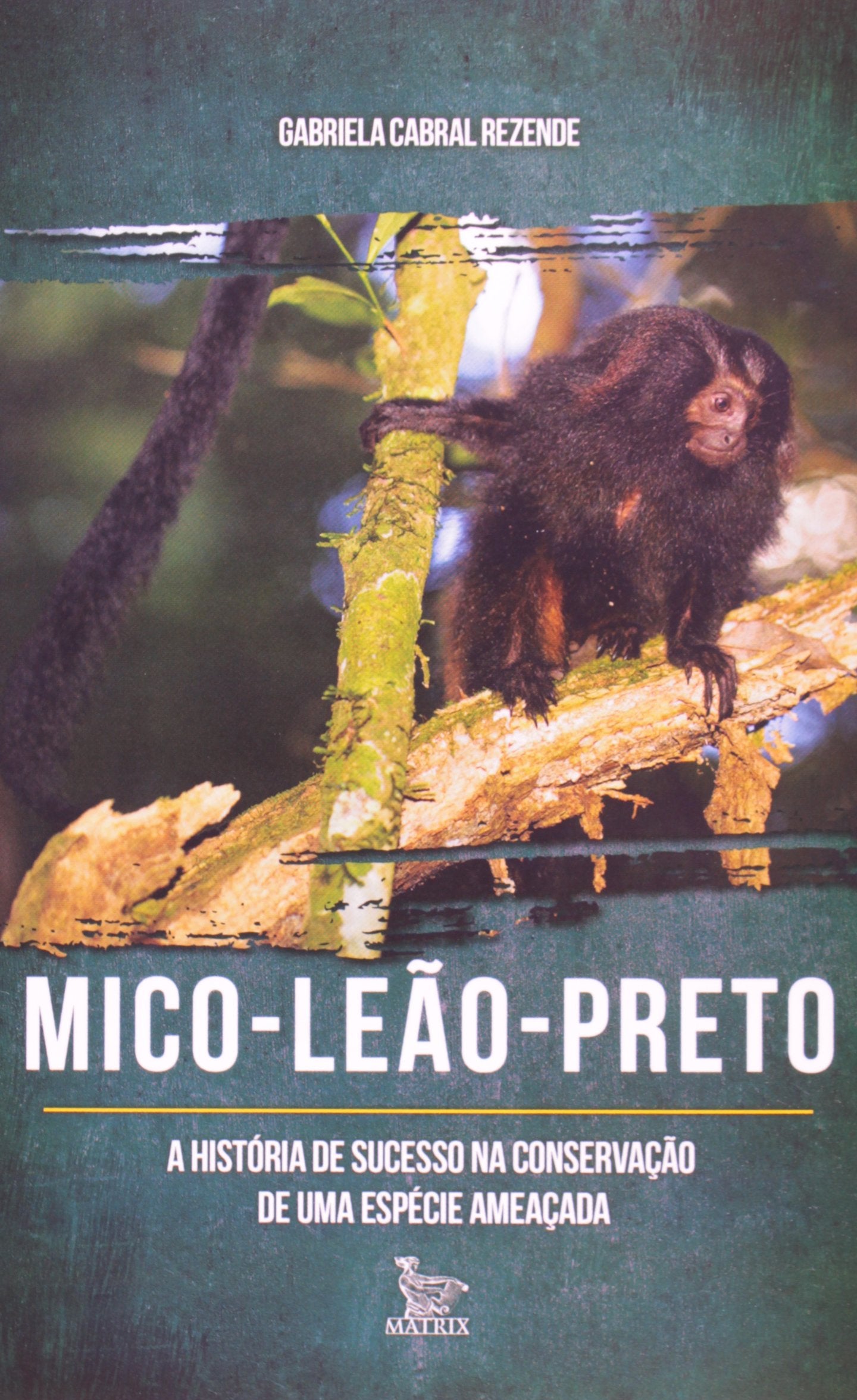 Mico Leão Preto (Em Portuguese do Brasil) Books