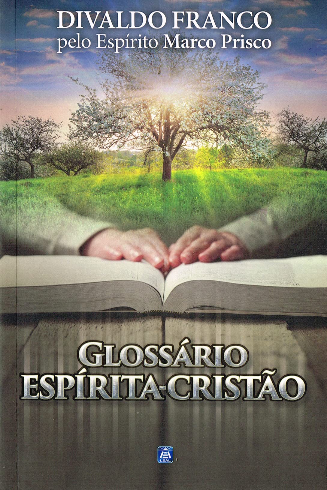 Glossário Espírita-Cristão book