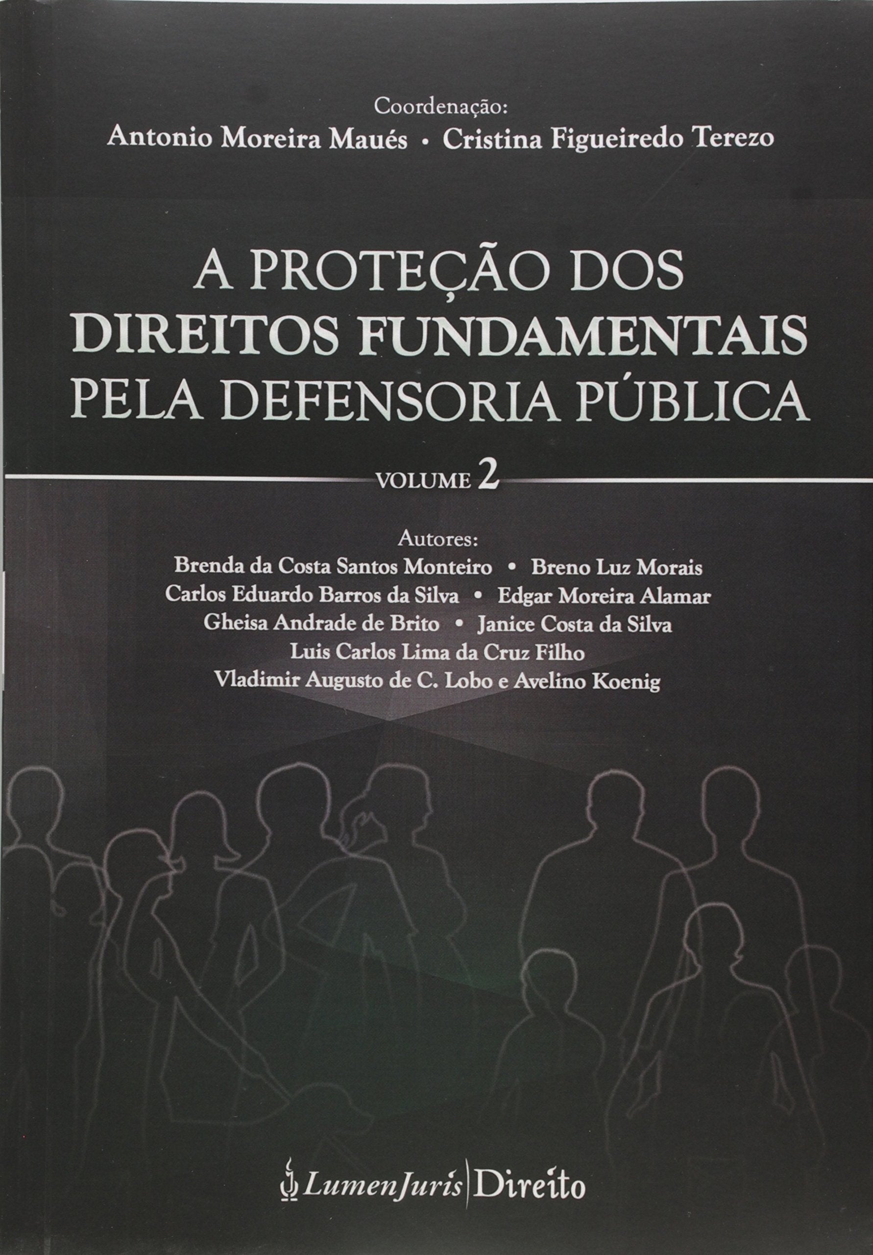 A Proteção dos Direitos Fundamentais Pela Defensoria Pública - Volume 2 Books