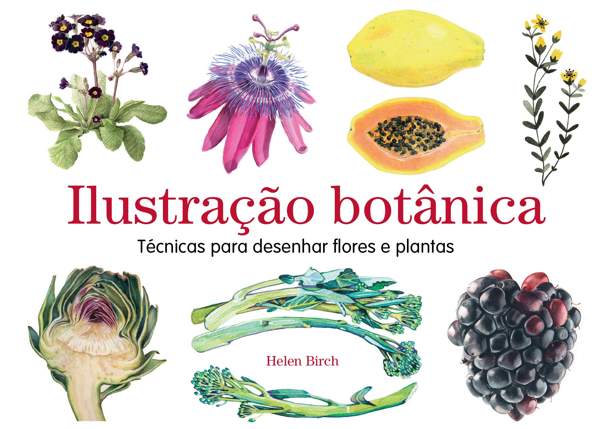 Ilustração botnica. Técnicas para desenhar flores e plantas book