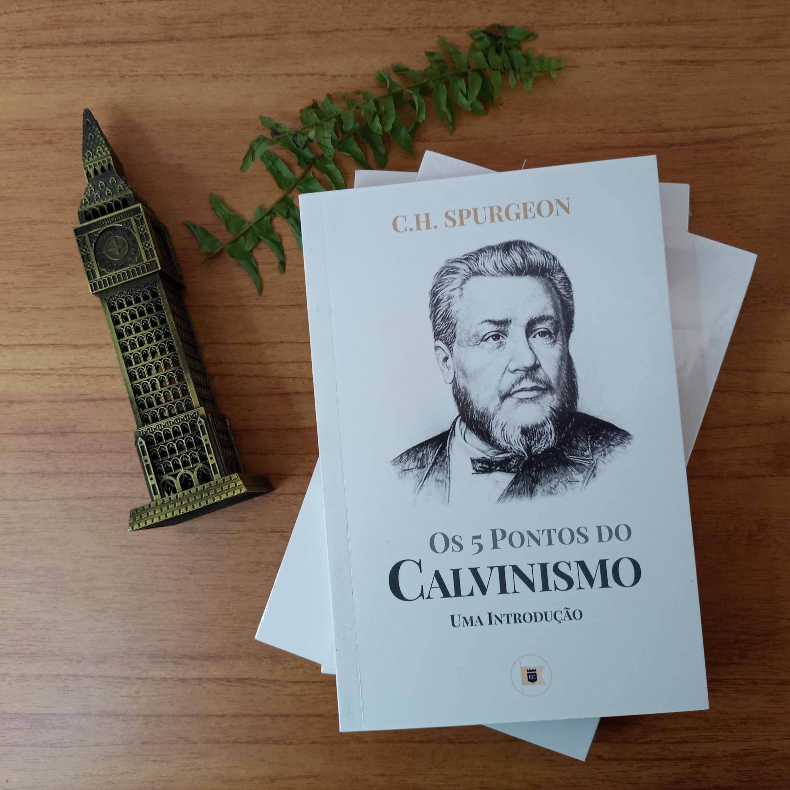 5 Pontos do Calvinismo: Uma Introdução… Books