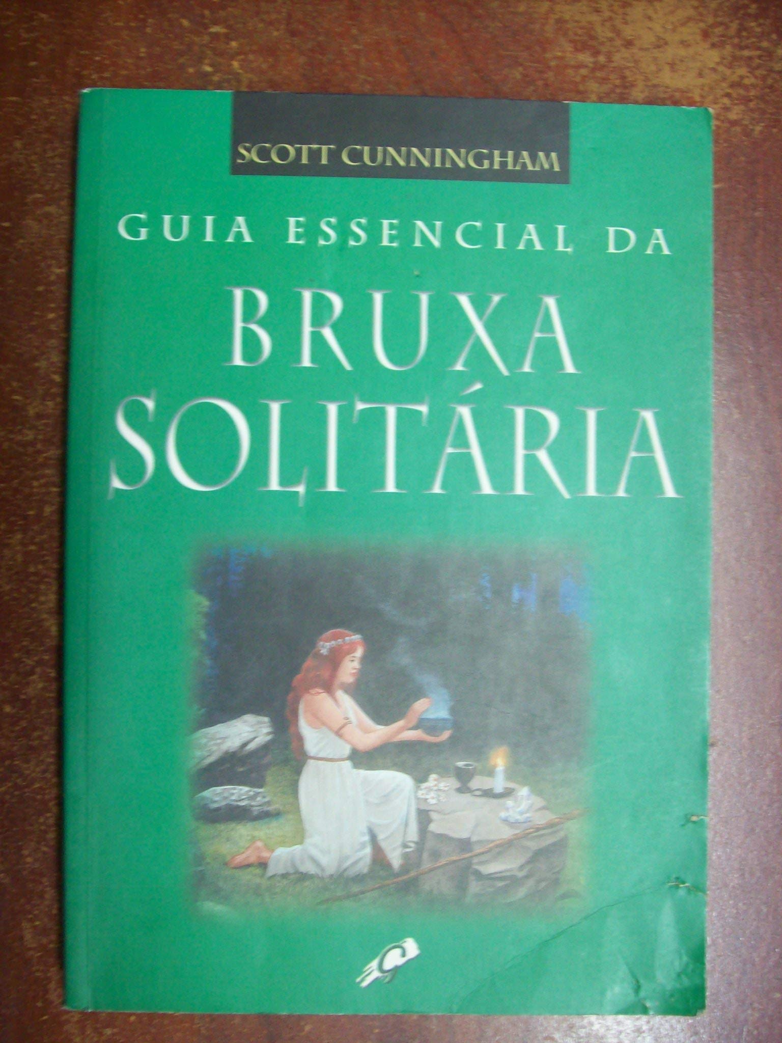 Guia Essencial Da Bruxa Solitaria (Em Portuguese do Brasil) book