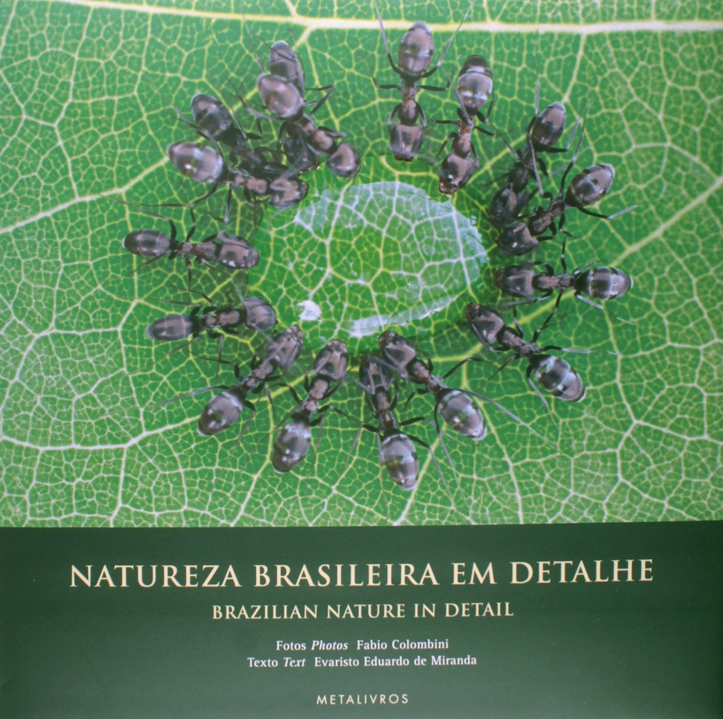 Natureza Brasileira em Detalhe / Brazilian Nature in Detail Books