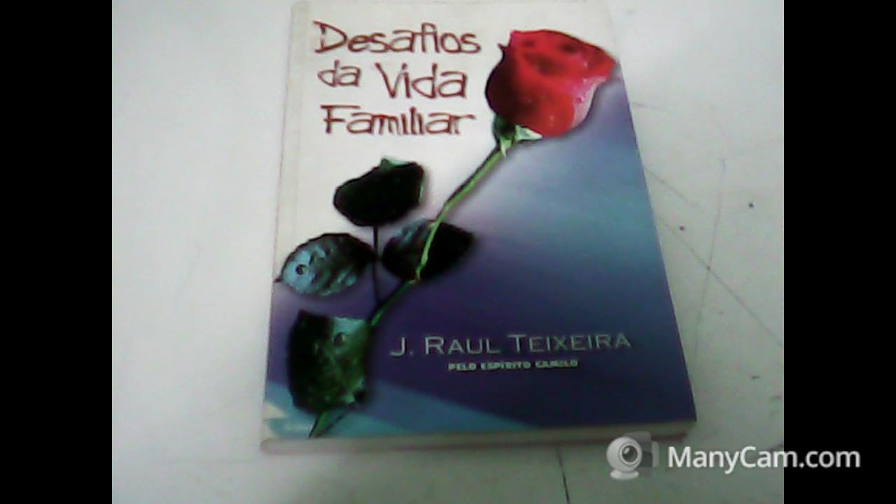livro desafios da vida familiar j raul teixeira Ed. 2003 book