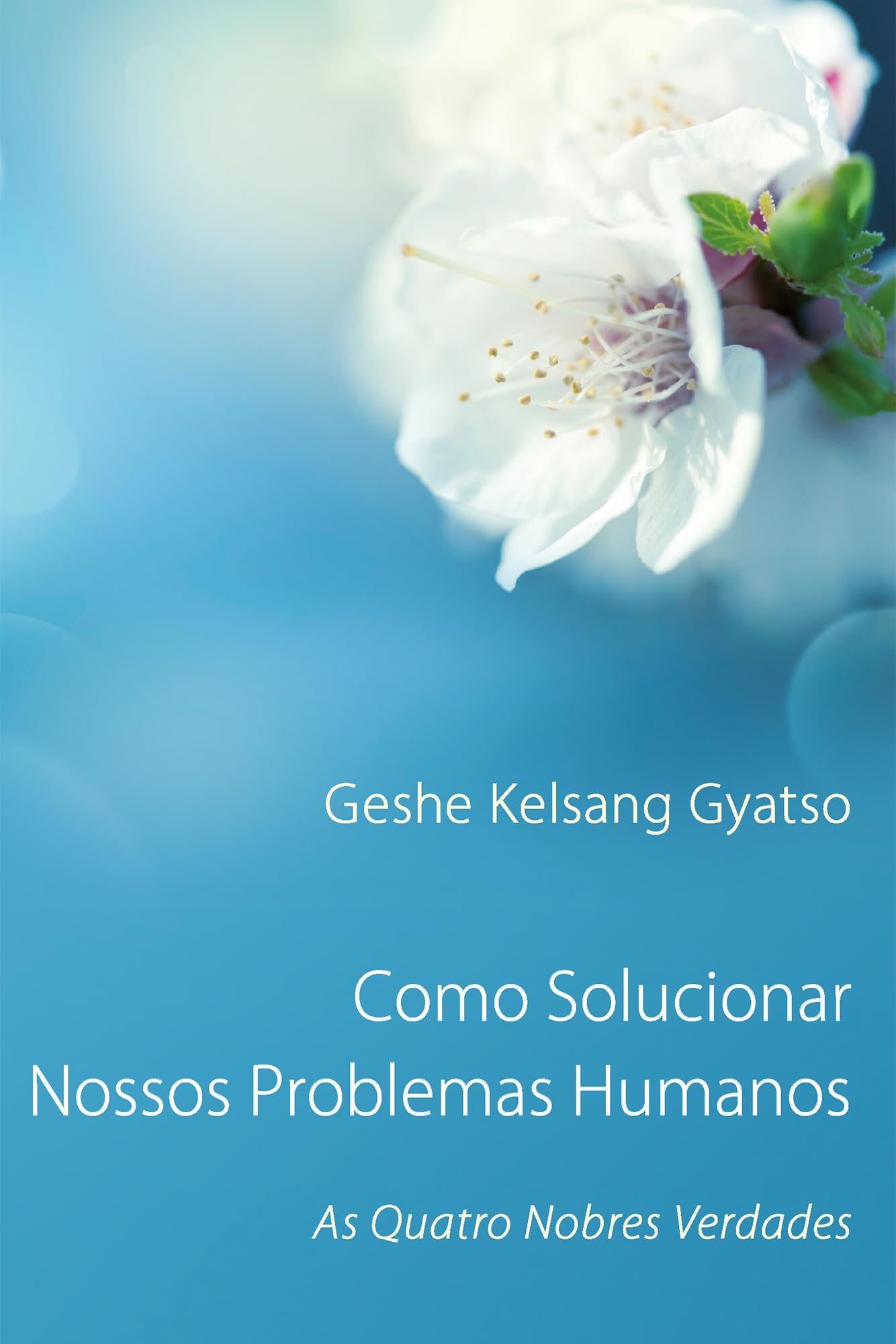 Como Solucionar Nossos Problemas Humanos book