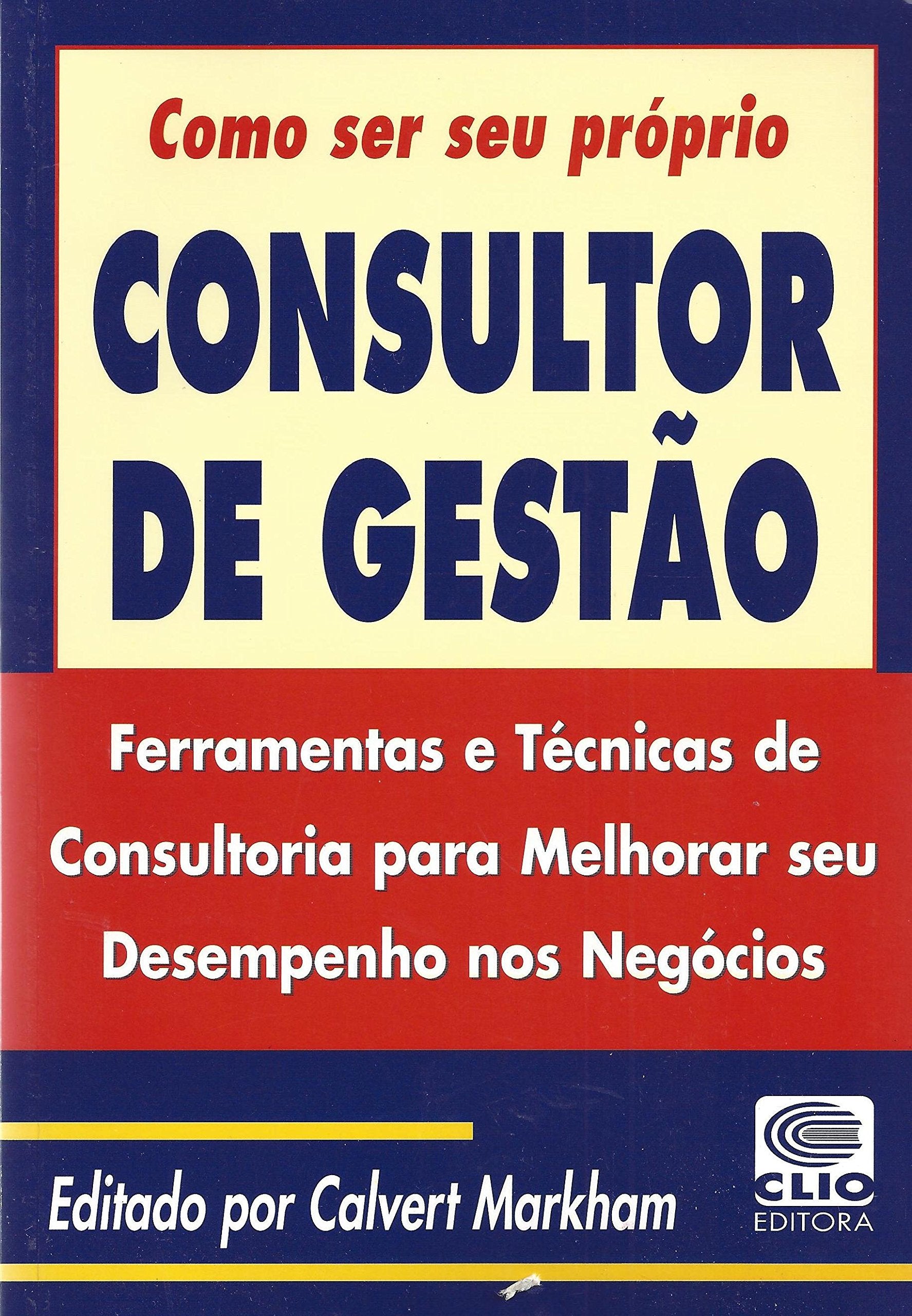 Como Ser Seu Próprio Consultor de Gestão book