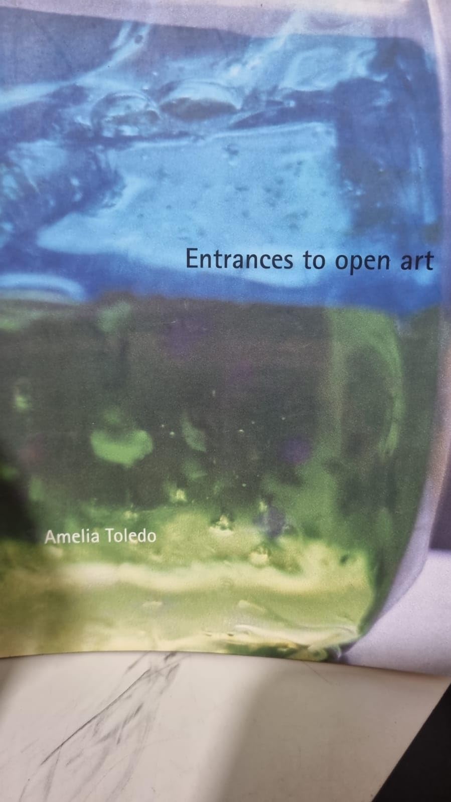 Amelia Toledo : Entrances To Open Art (Em Portuguese do Brasil) Books