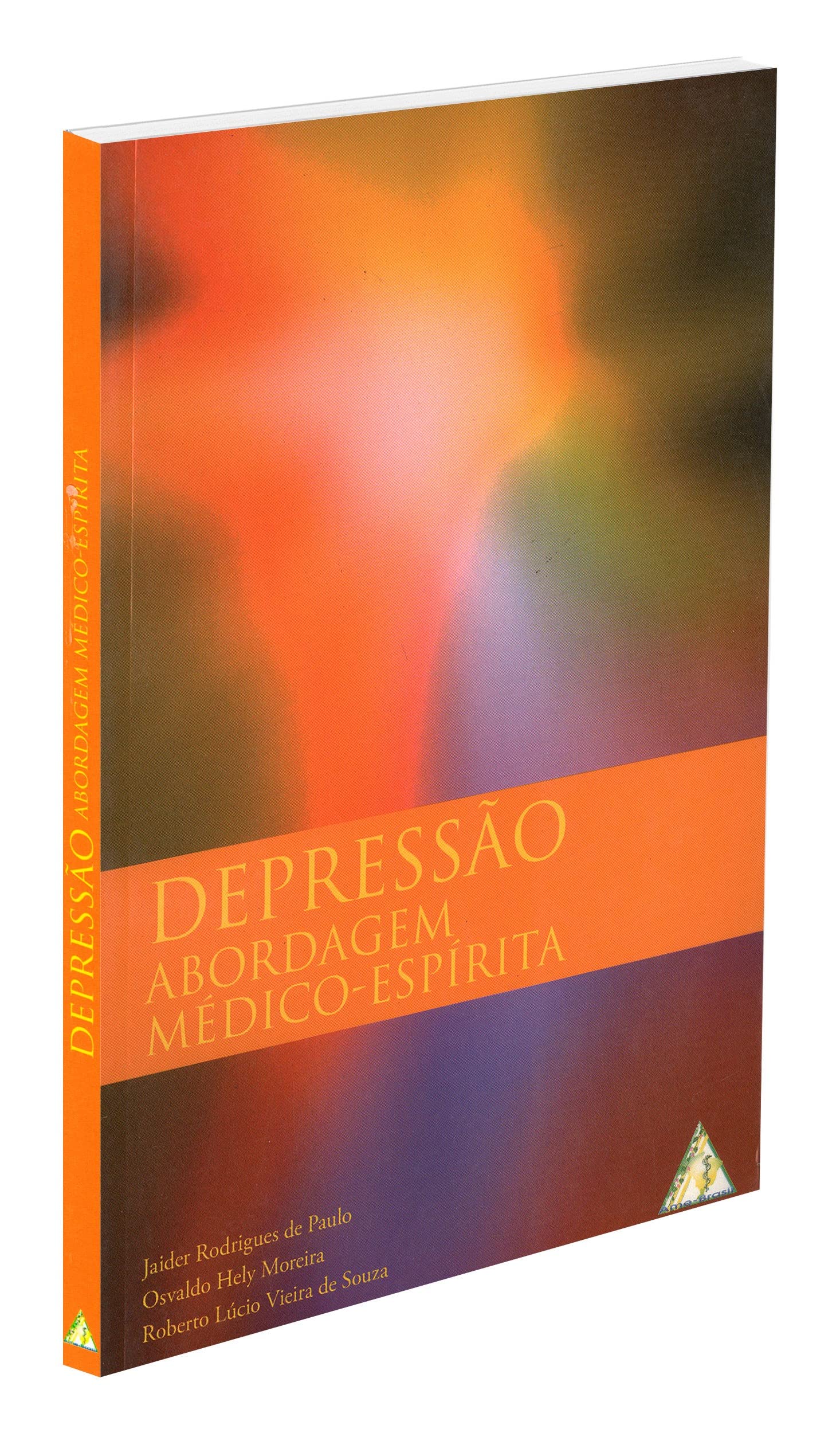 Depressão. Abordagem Medico-espirita (Em Portuguese do Brasil) Books