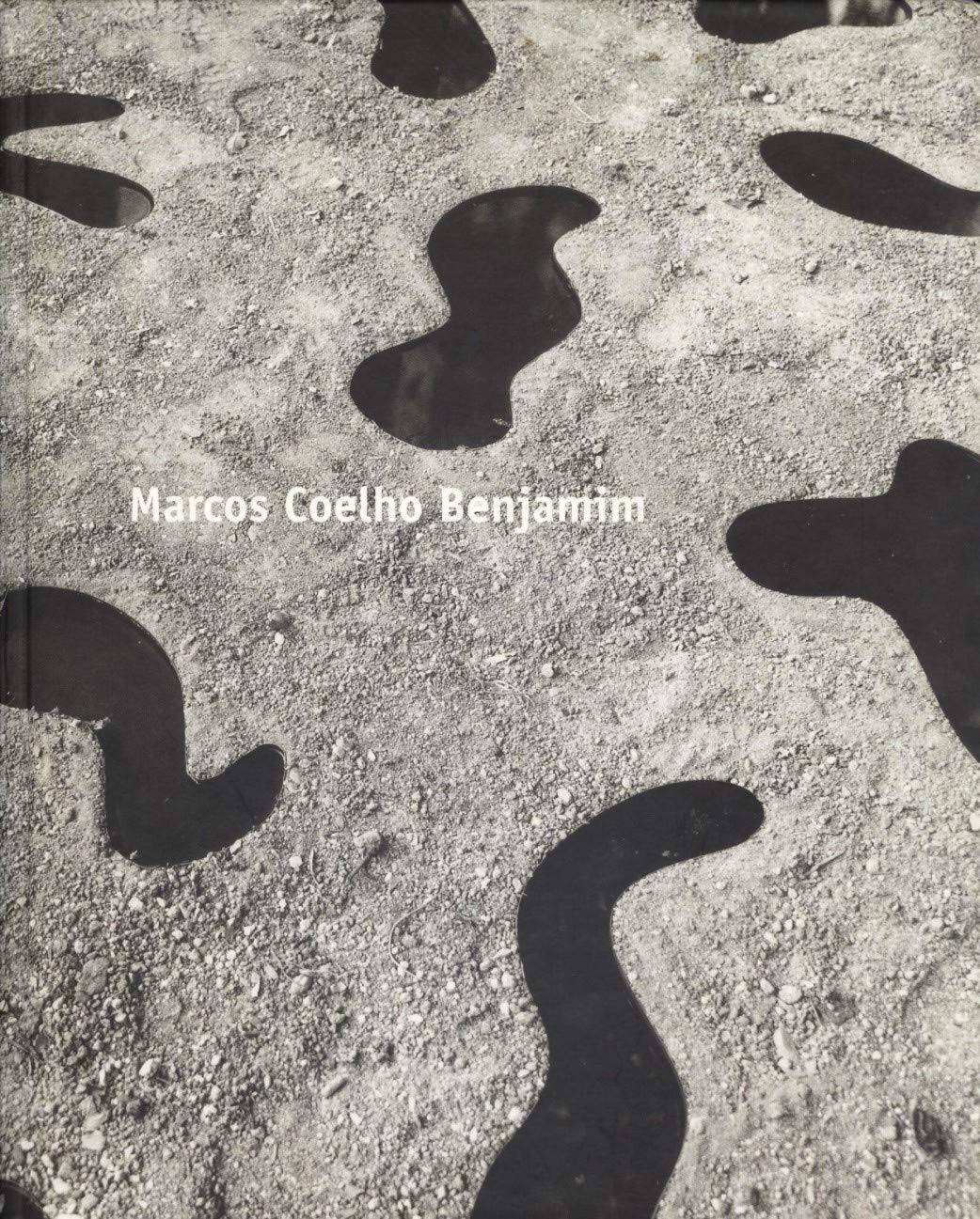 Marcos Coelho Benjamim. Arte Books