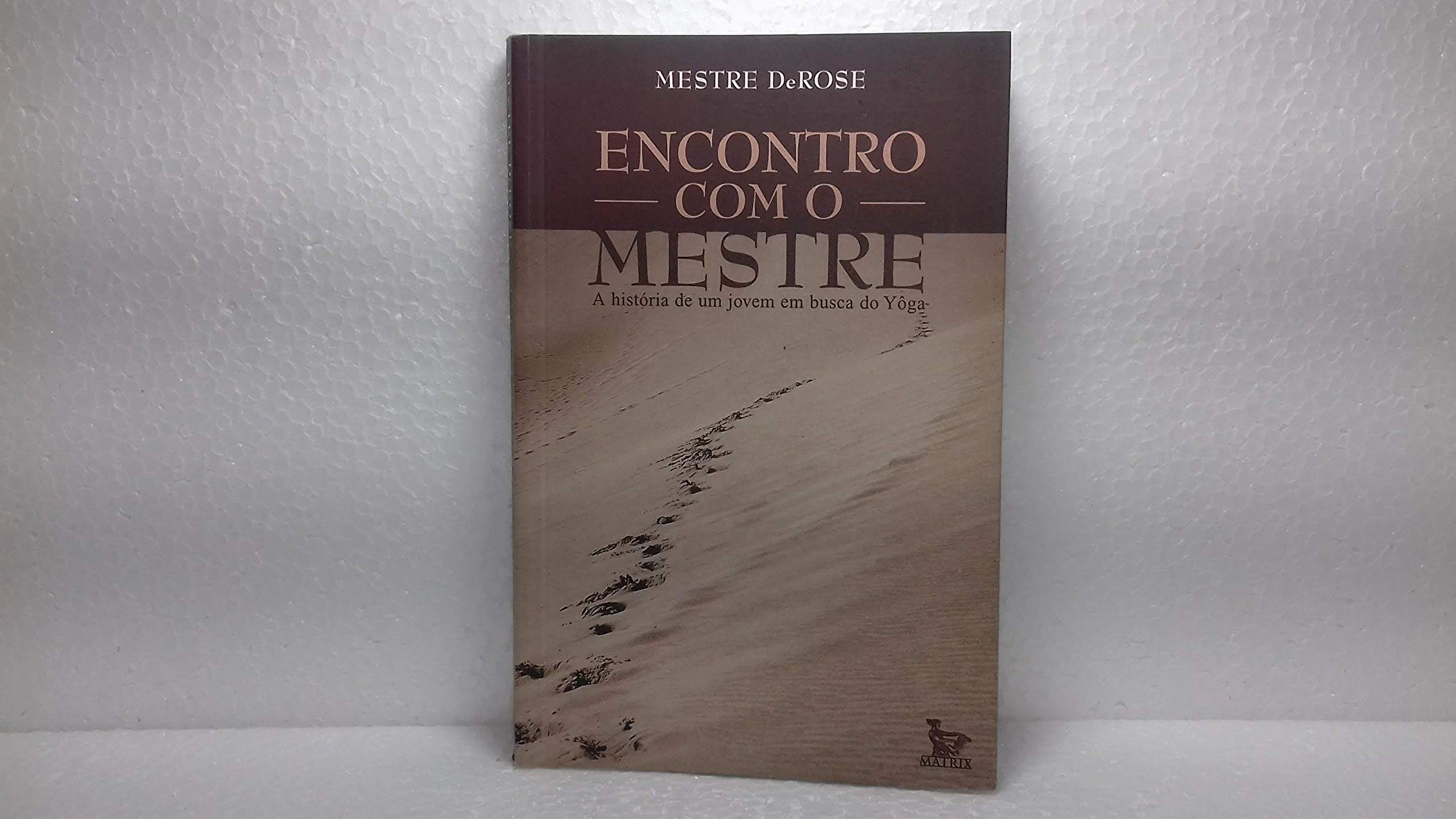 Encontro Com O Mestre (Em Portuguese do Brasil) book