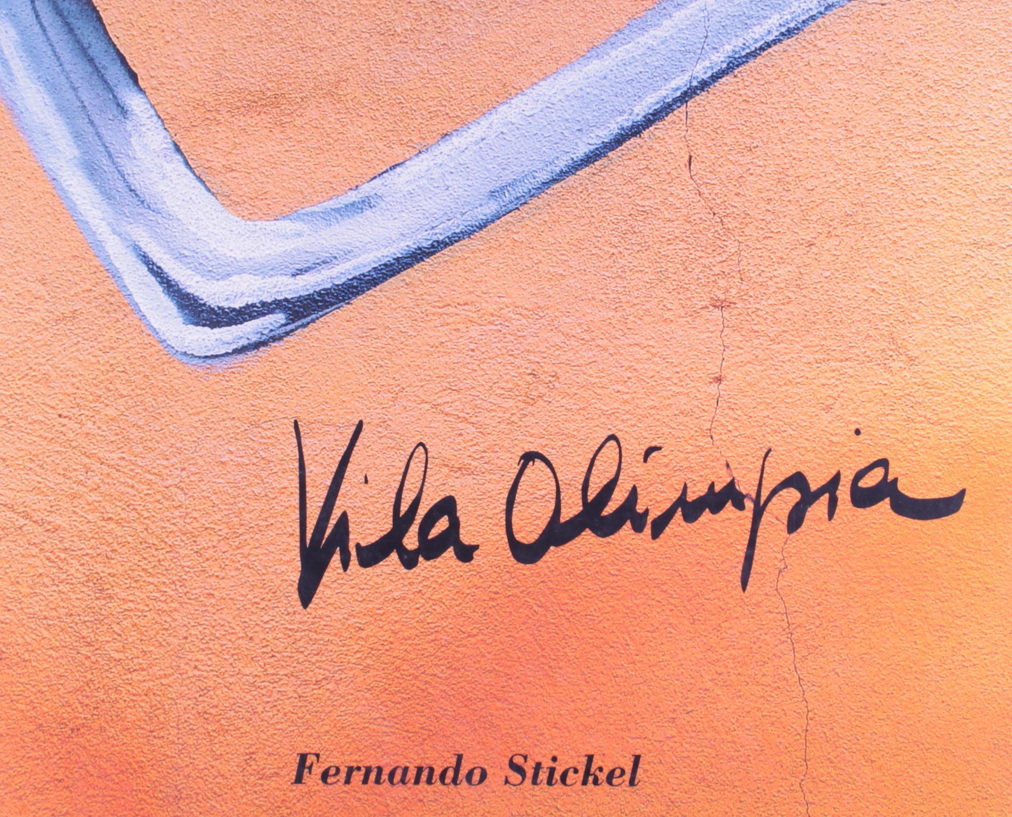 Vila Olimpia (Em Portuguese do Brasil) Books