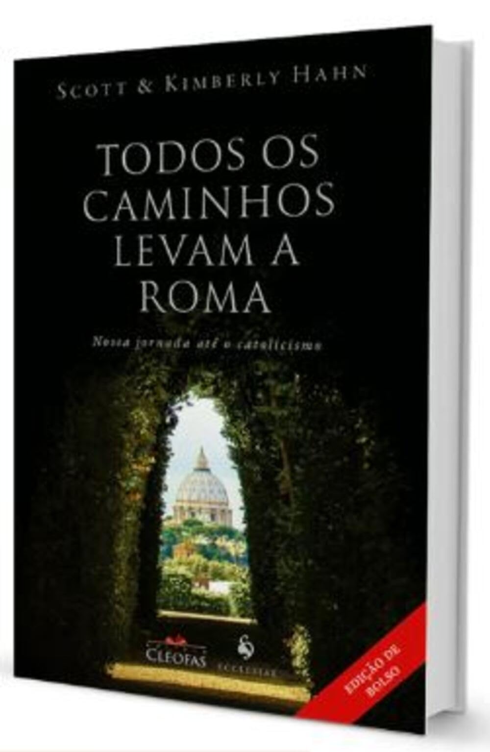 Todos os Caminhos Levam a Roma (Em Portuguese do Brasil) Books