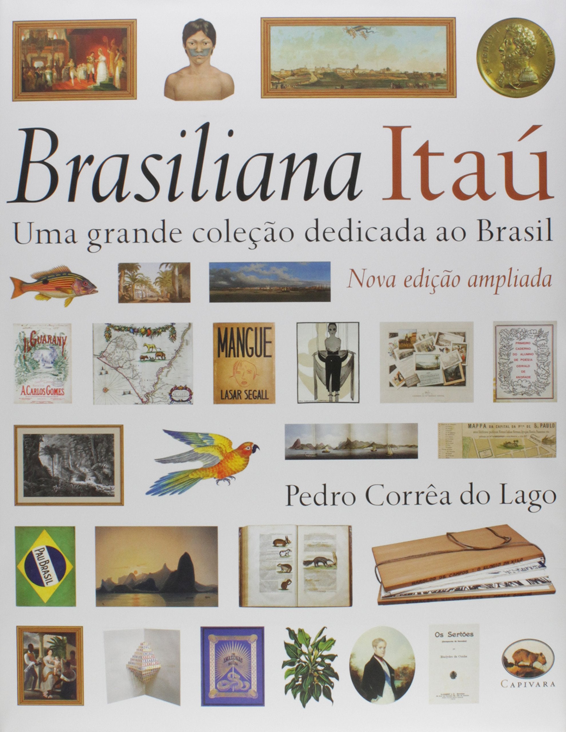 Brasiliana Itau. Uma Grande Coleção Dedicada Ao Brasil book