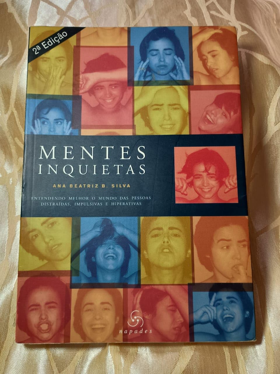 Mentes Inquietas: Entendendo Melhor O Mundo Das Pessoas Distraidas, Impulsivas E Hiperativas (Em Portuguese do Brasil) Books