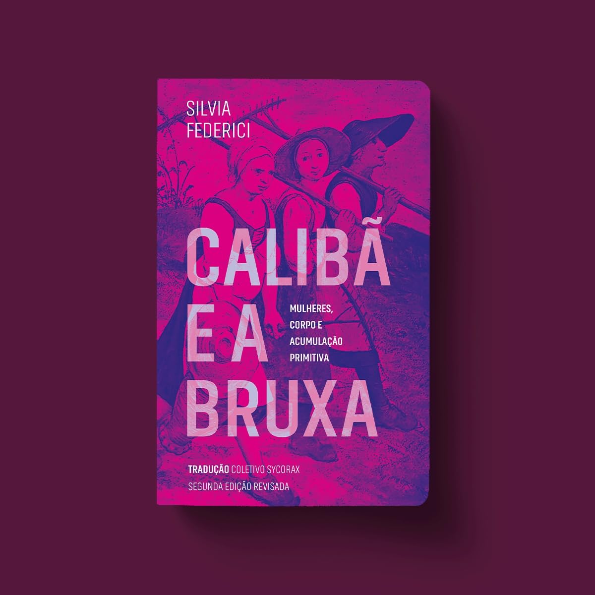 CALIBA E A BRUXA - Mulheres Corpo e Acumulacao Primitiva (Em Portugues do Brasil) Books
