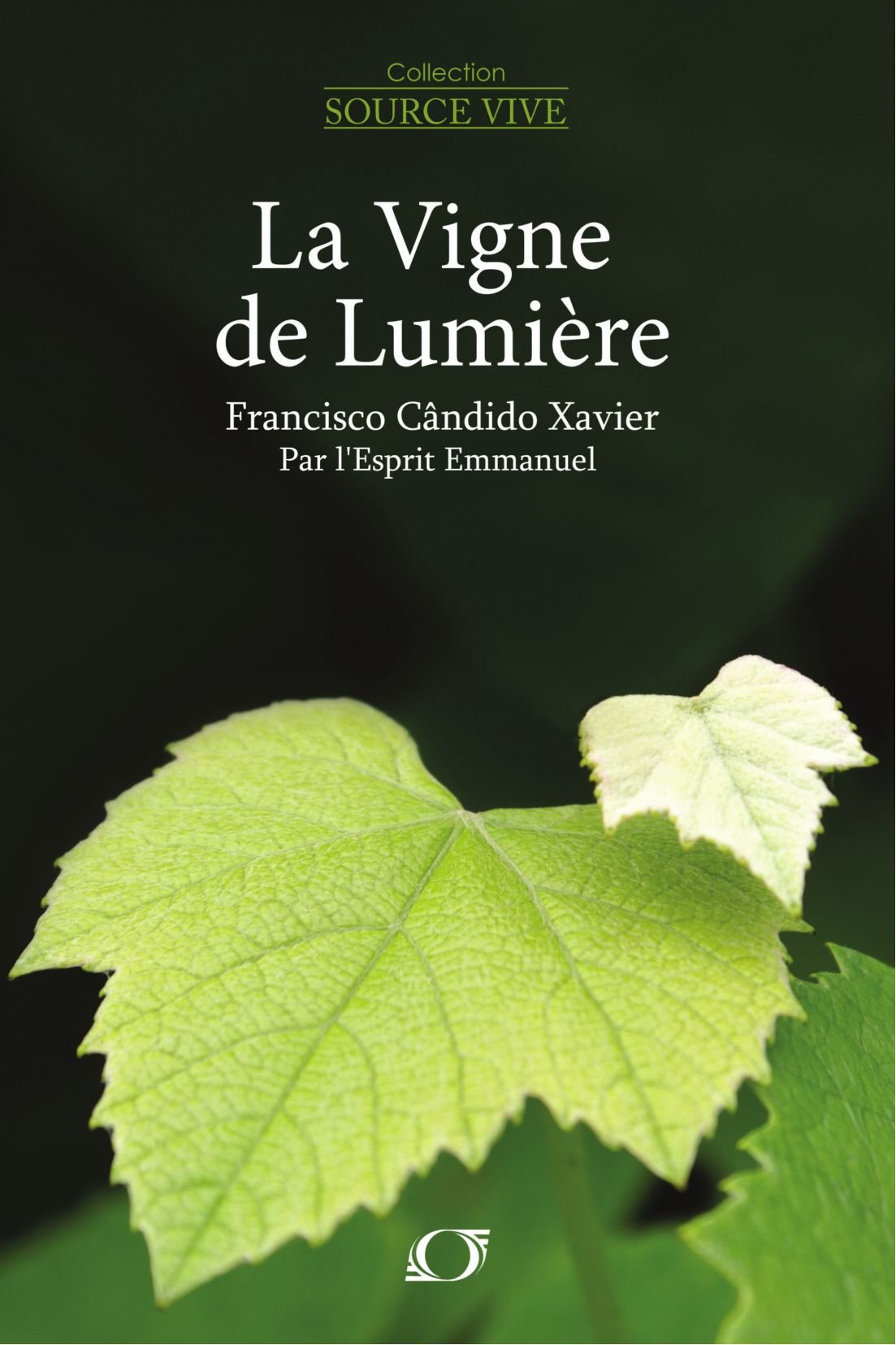 La vigne de lumière (French Edition) Religion & Esotericism