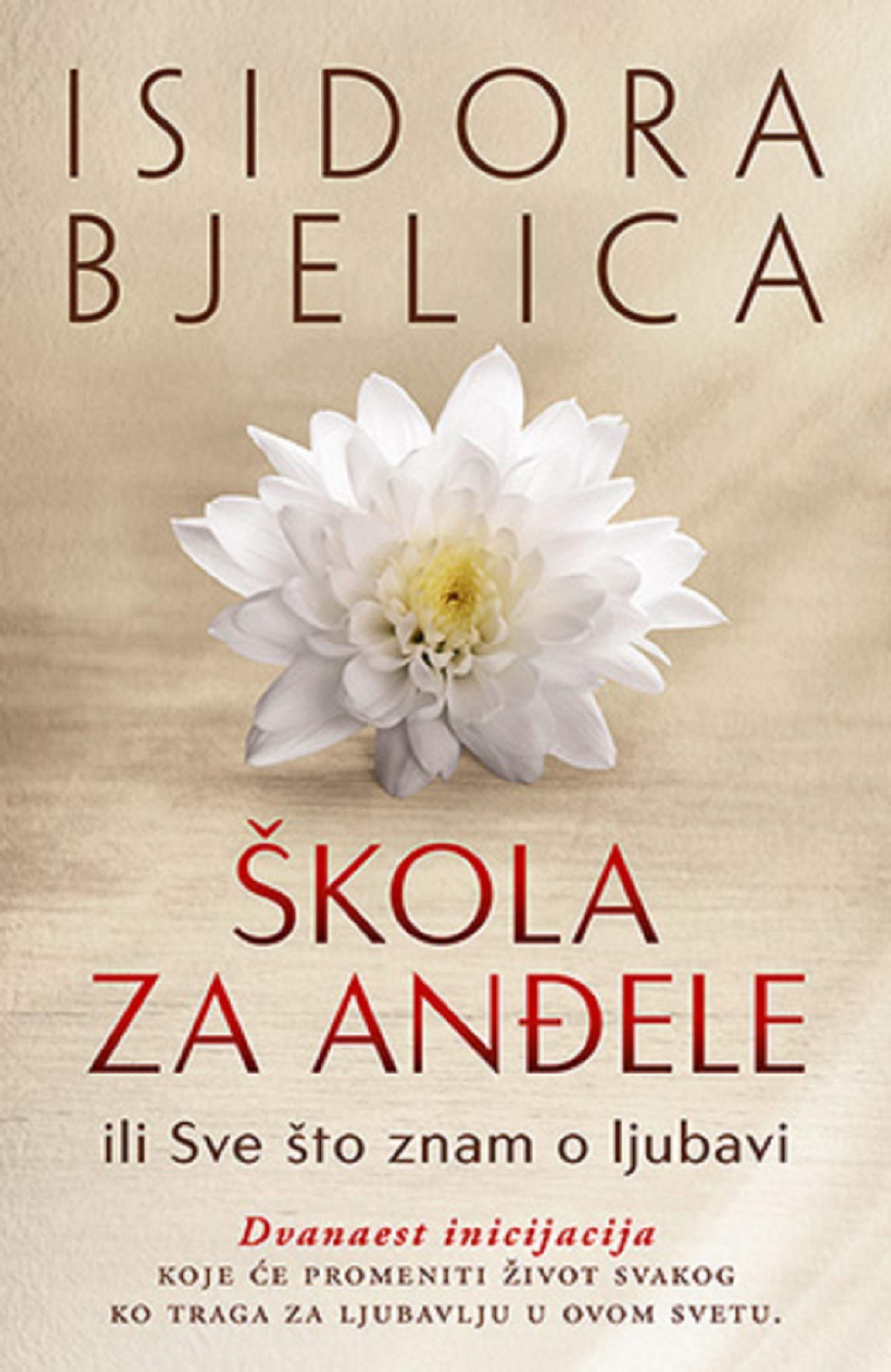 Škola za andjele Books