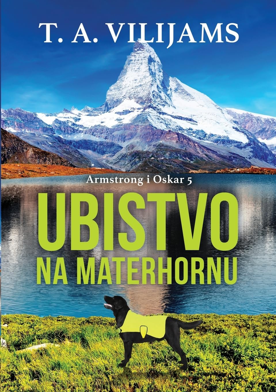 Ubistvo na Materhornu (Armstrong i Oskar 5) Contemporary literature