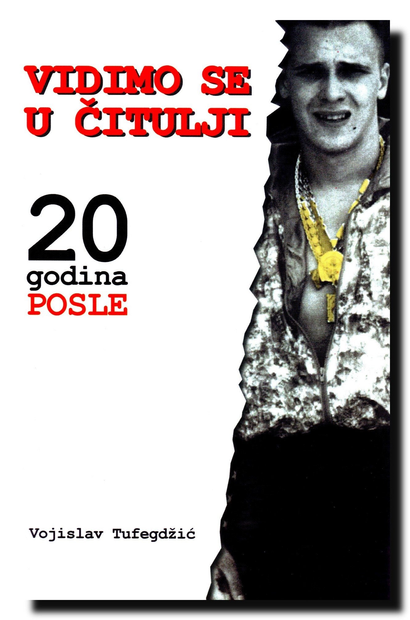 Vidimo se u citulji : 20 godina posle Books