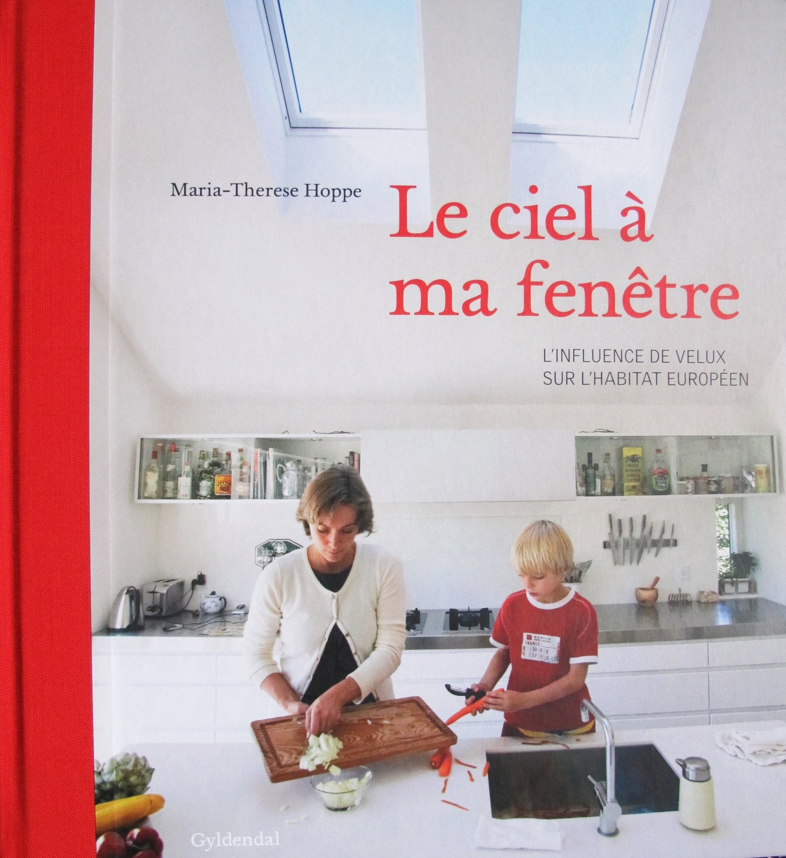 Le Ciel à ma fenêtre - L'influence de Velux sur l'habita... Book Books