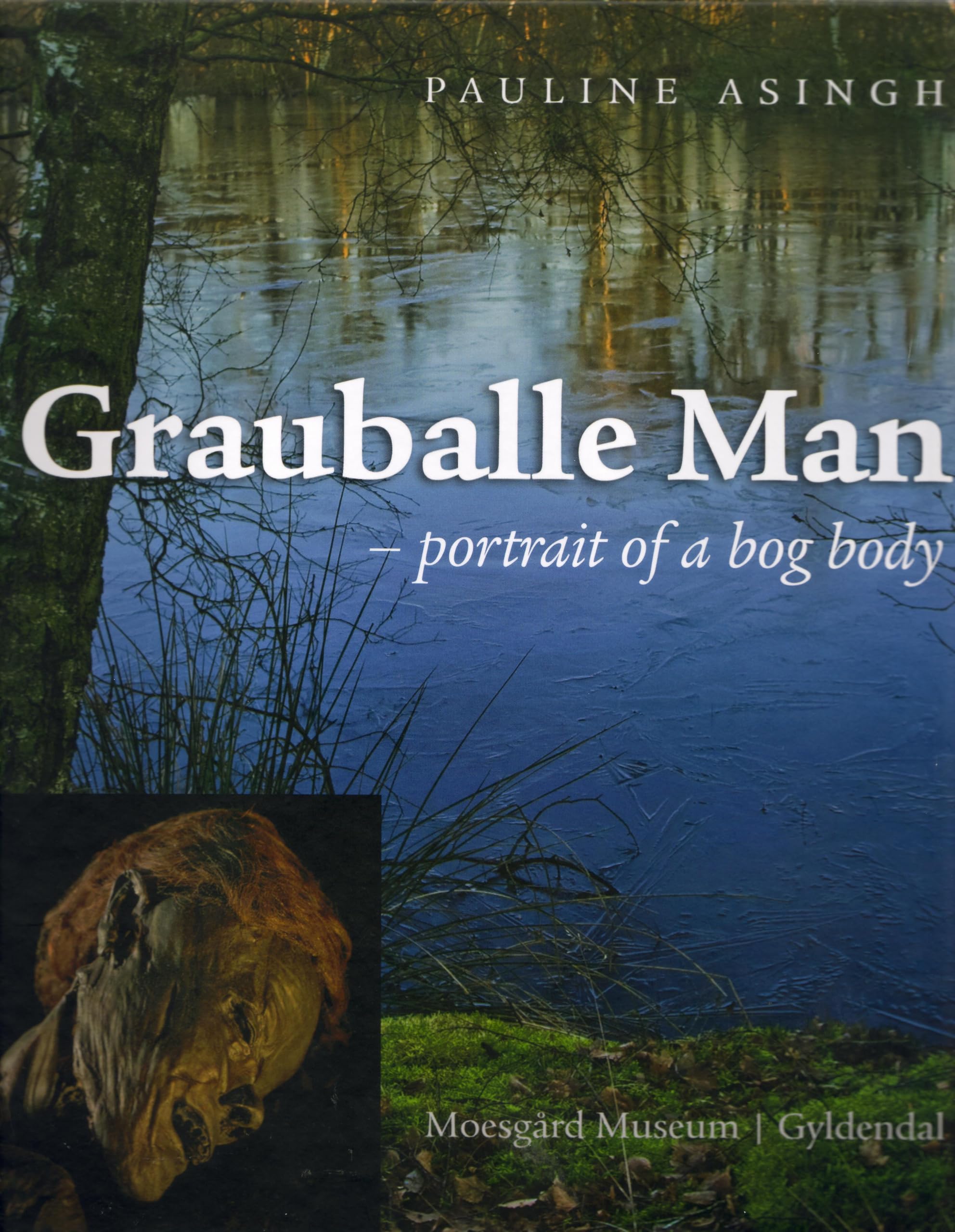 Grauballe Man: Portrait of a Bog Body (Jutland Arch Society) Science