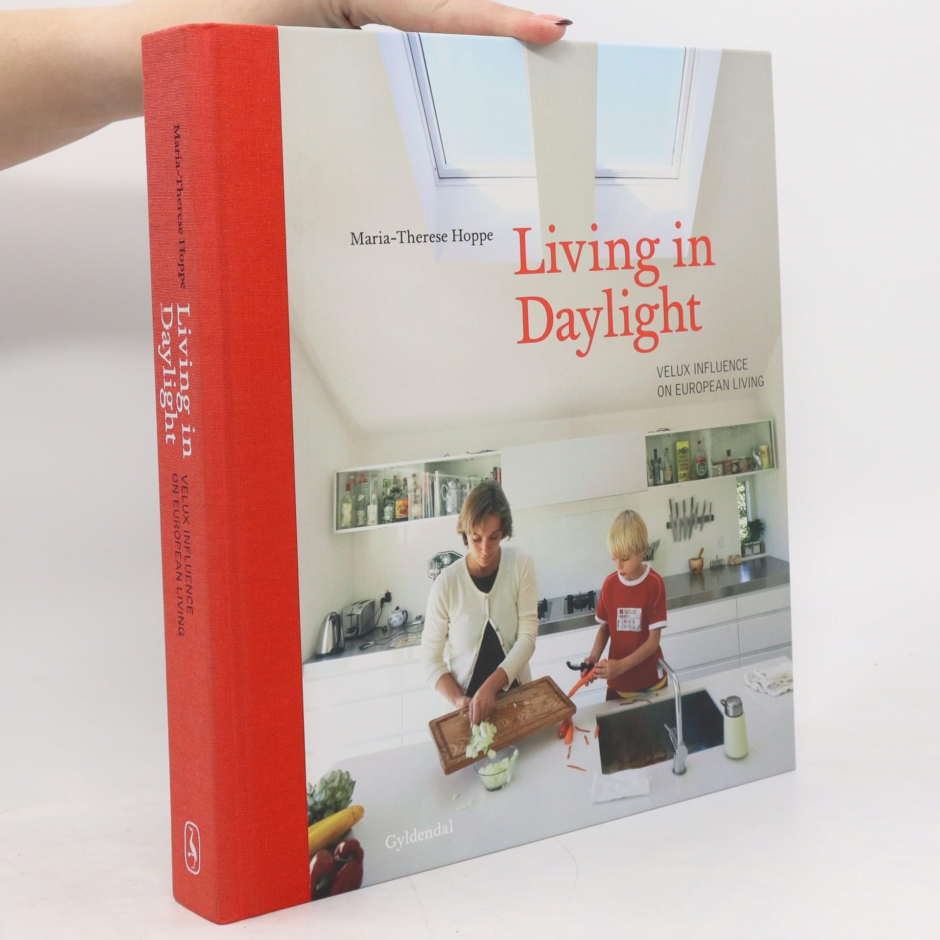 Living in Daylight: Velux Influence on European Living Books