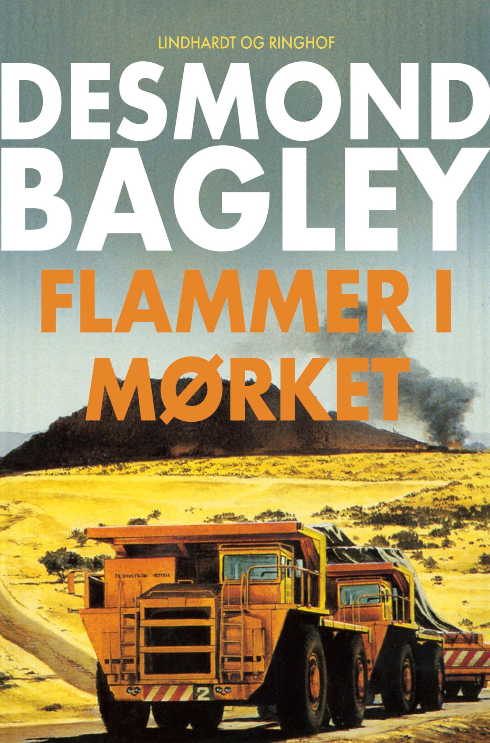 Flammer i mørket Contemporary literature