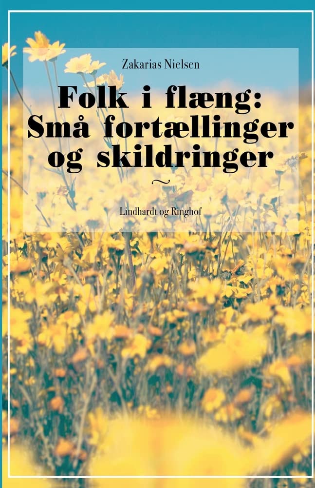 Folk i flæng: Små fortællinger og skildringer Contemporary literature