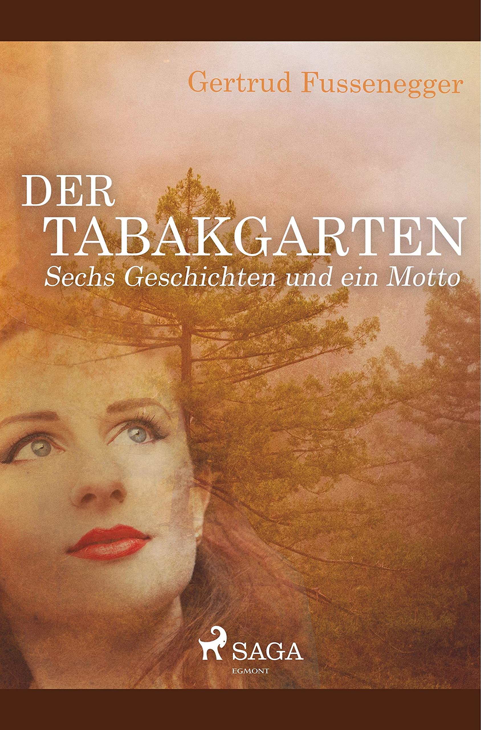Der Tabakgarten - Sechs Geschichten und ein Motto Contemporary literature
