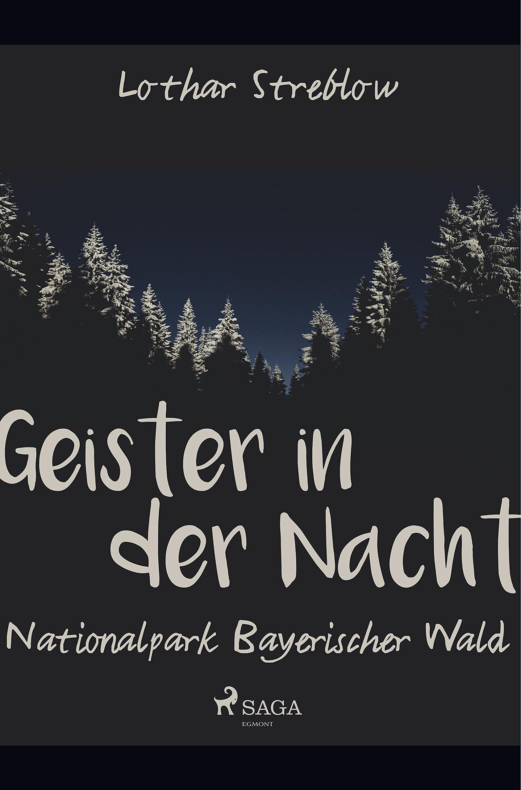Geister in der Nacht. Nationalpark Bayerischer Wald Geology & Geography