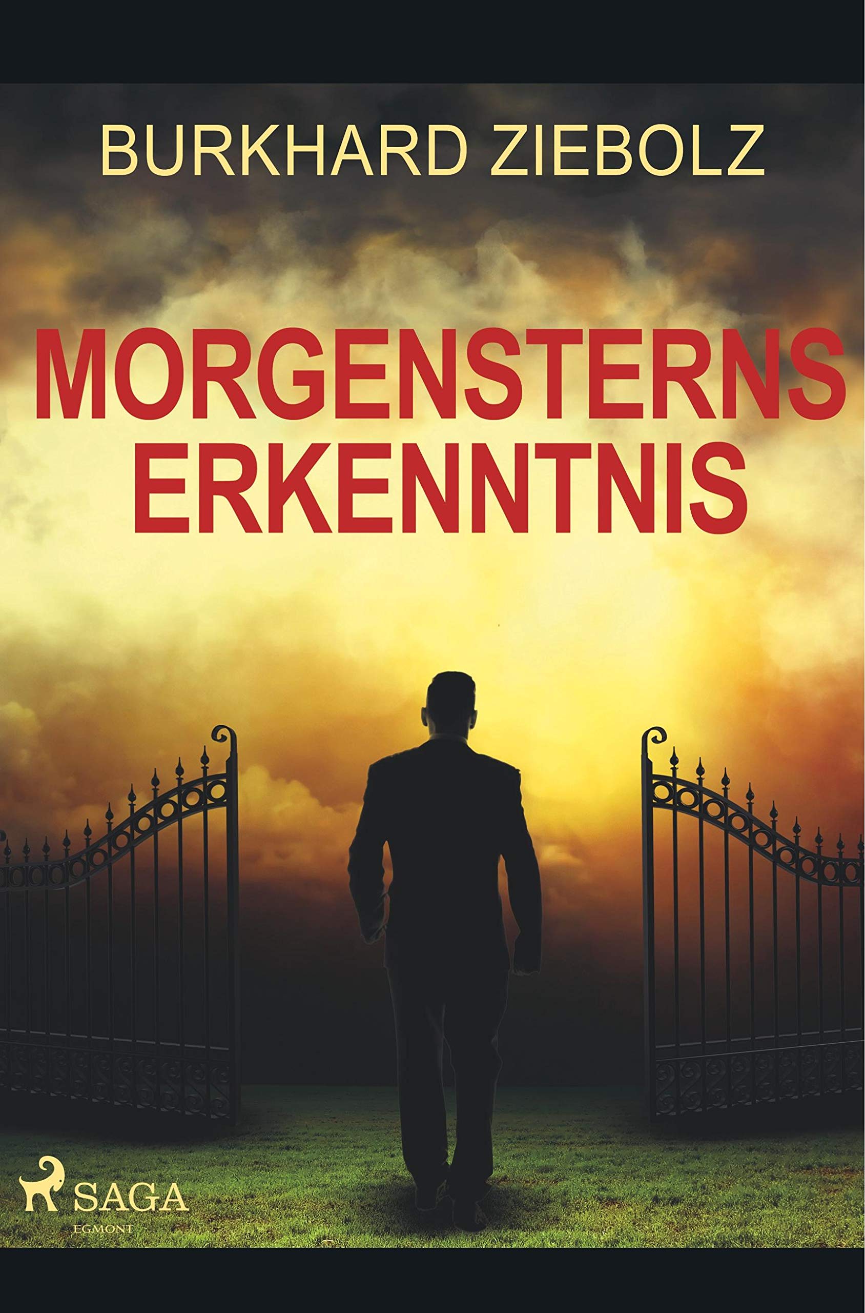 Morgensterns Erkenntnis - Kriminalroman aus Niedersachsen Contemporary literature Books