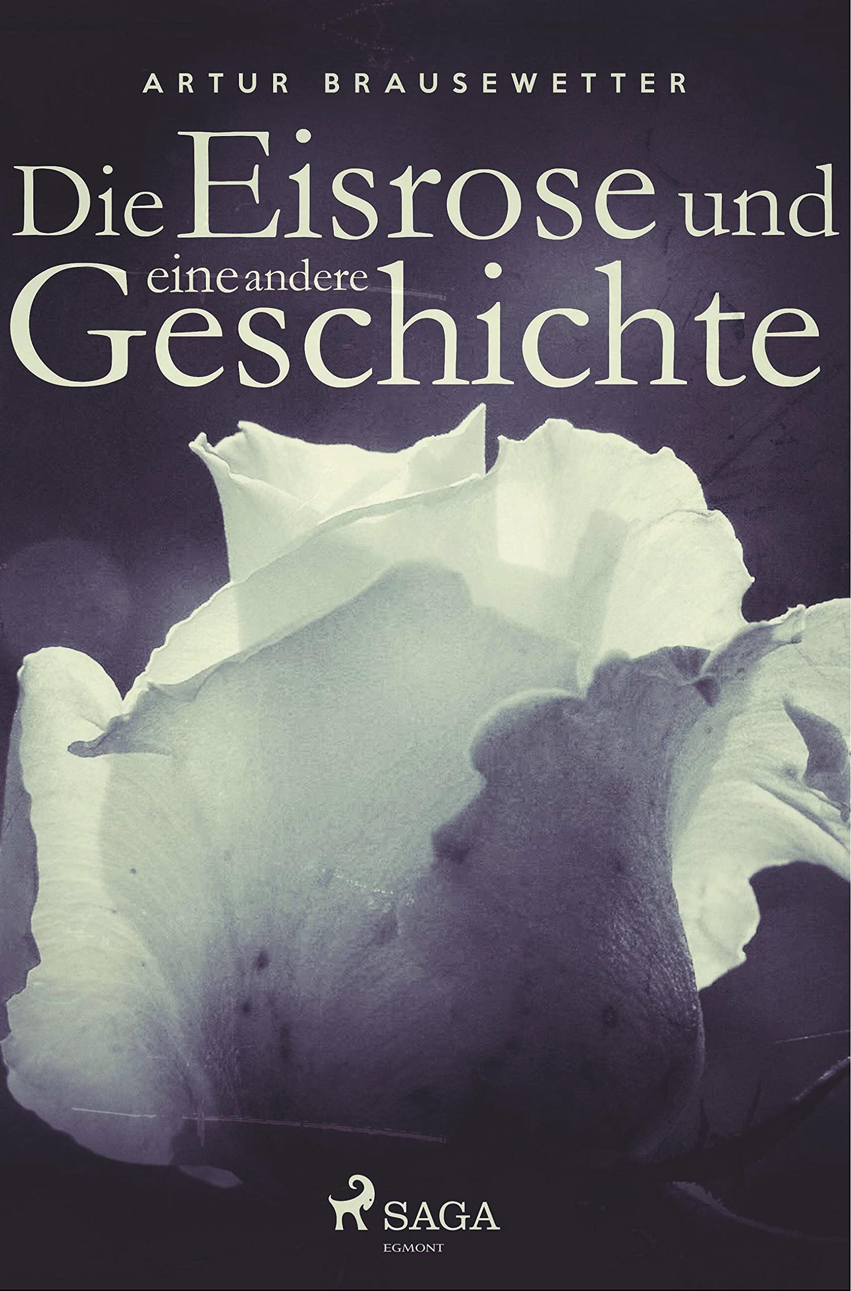 Die Eisrose und eine andere Geschichte Contemporary literature