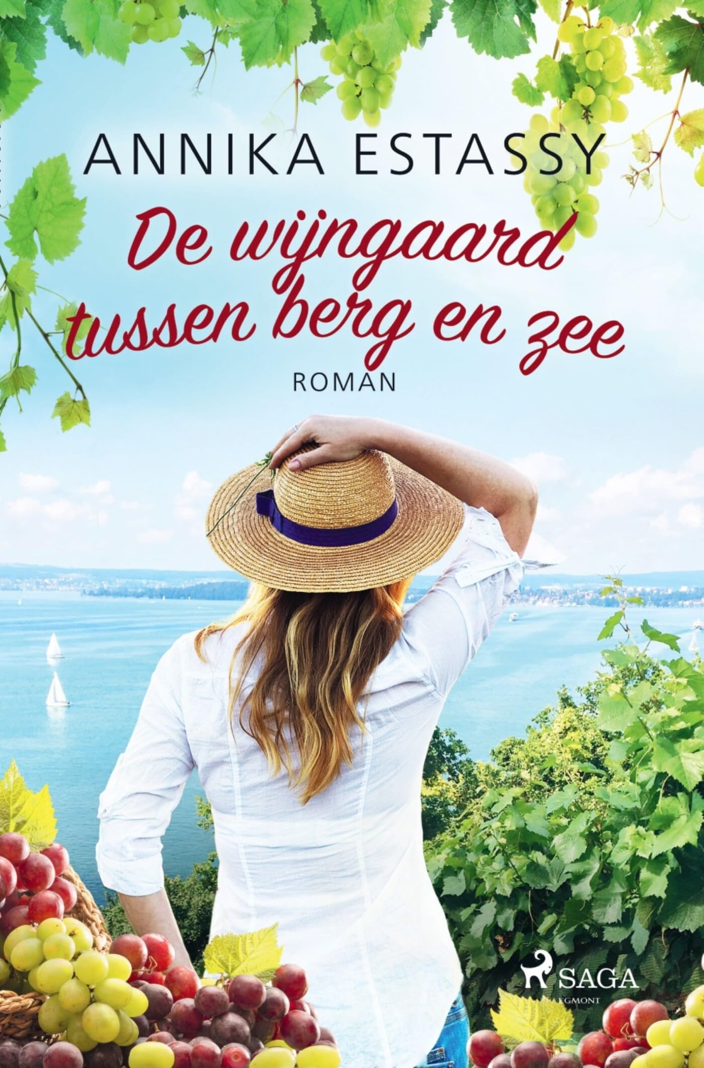 De wijngaard tussen berg en zee Contemporary literature