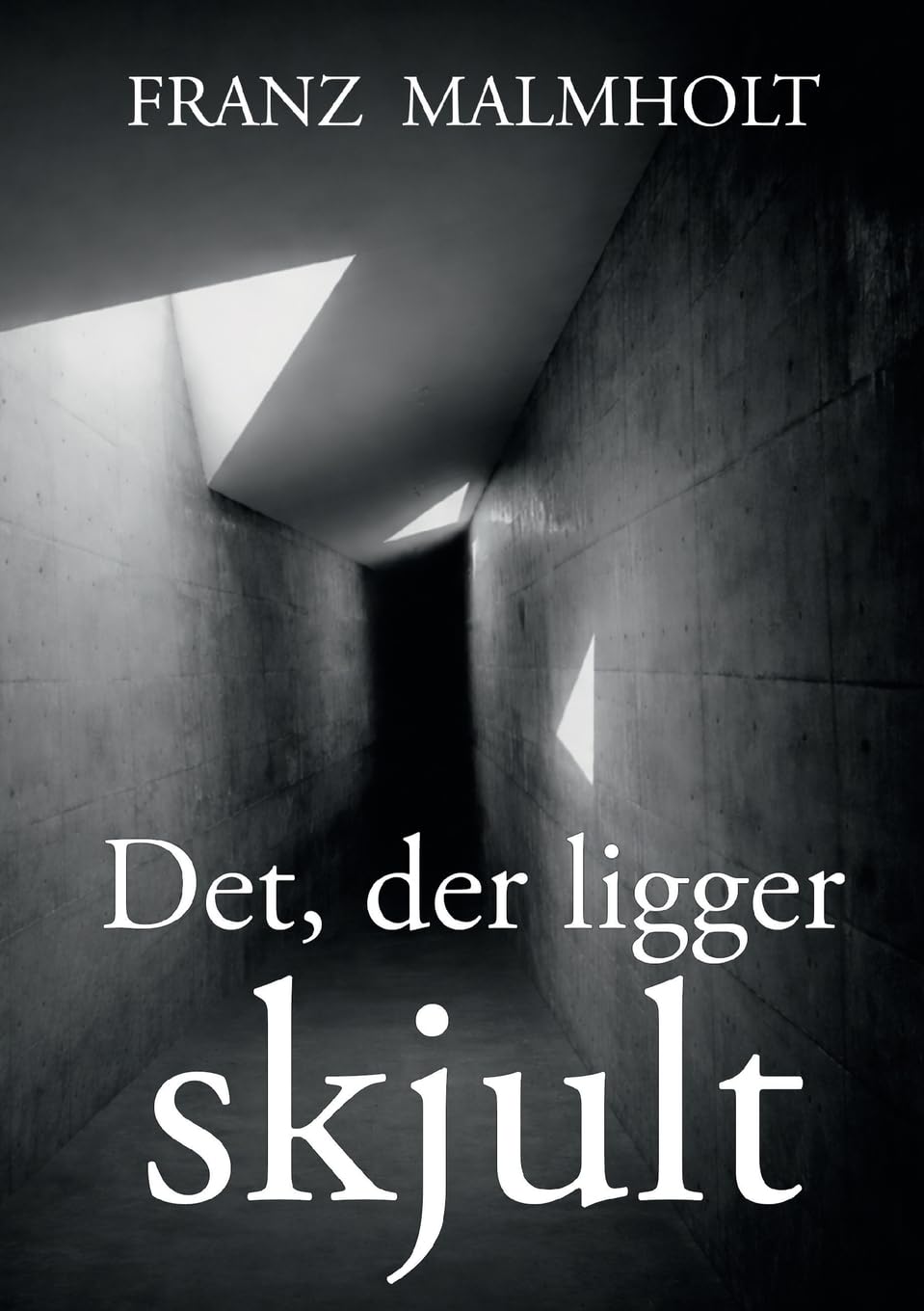 Det der ligger skjult Contemporary literature