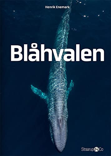 Product Image: Blahvalen