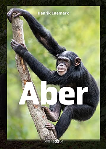 Aber book