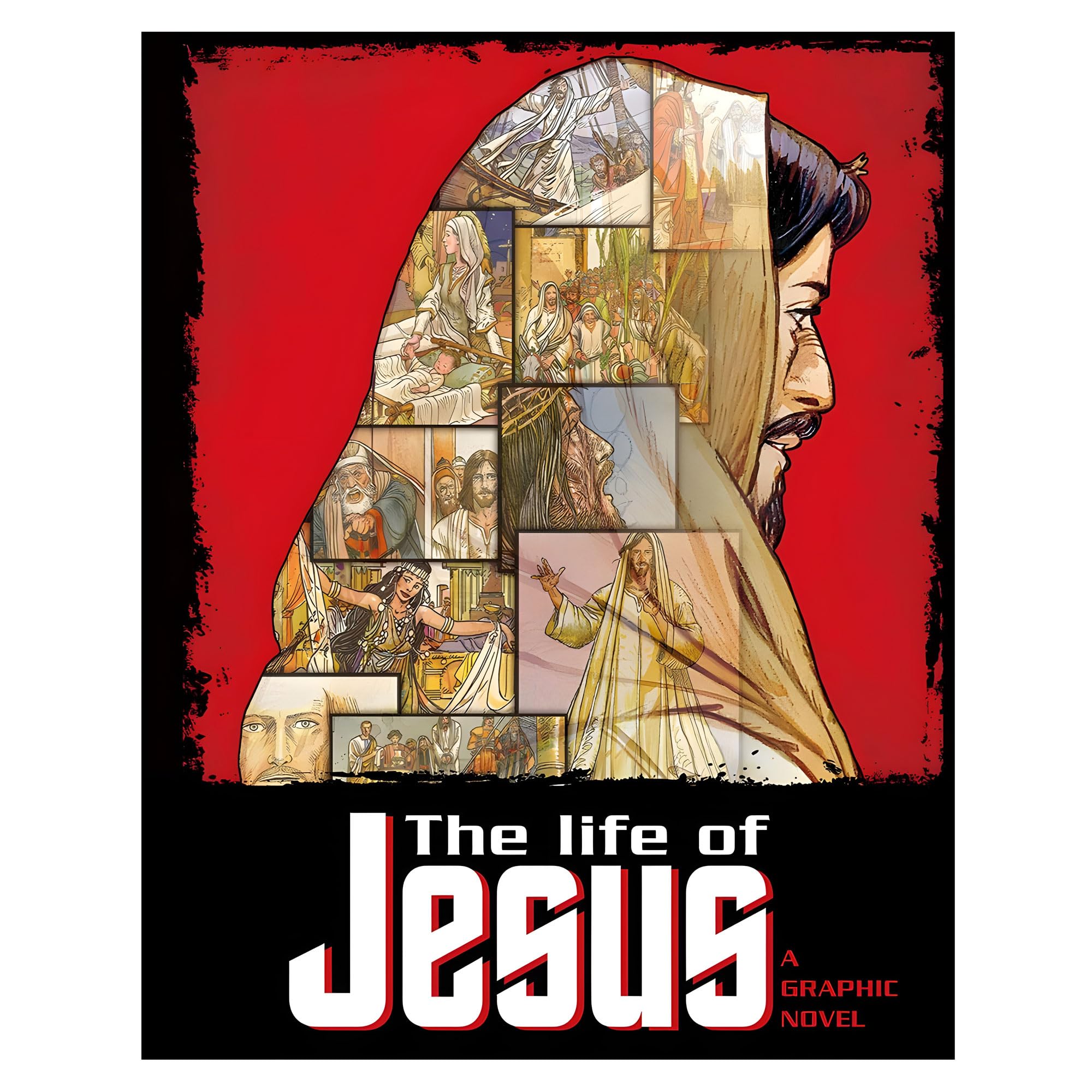 The Life of Jesus Social Sciences