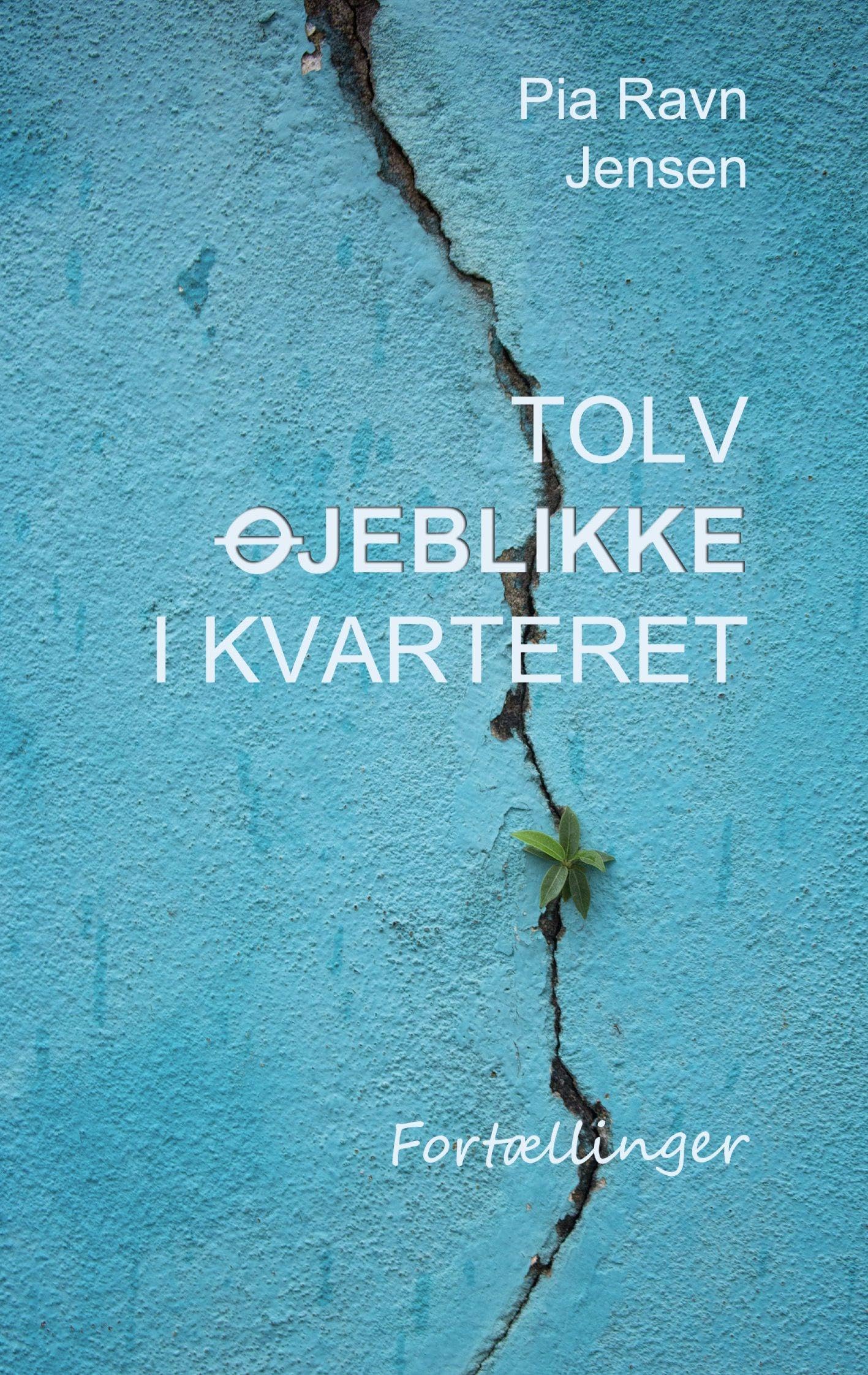 Tolv øjeblikke i kvarteret Contemporary literature