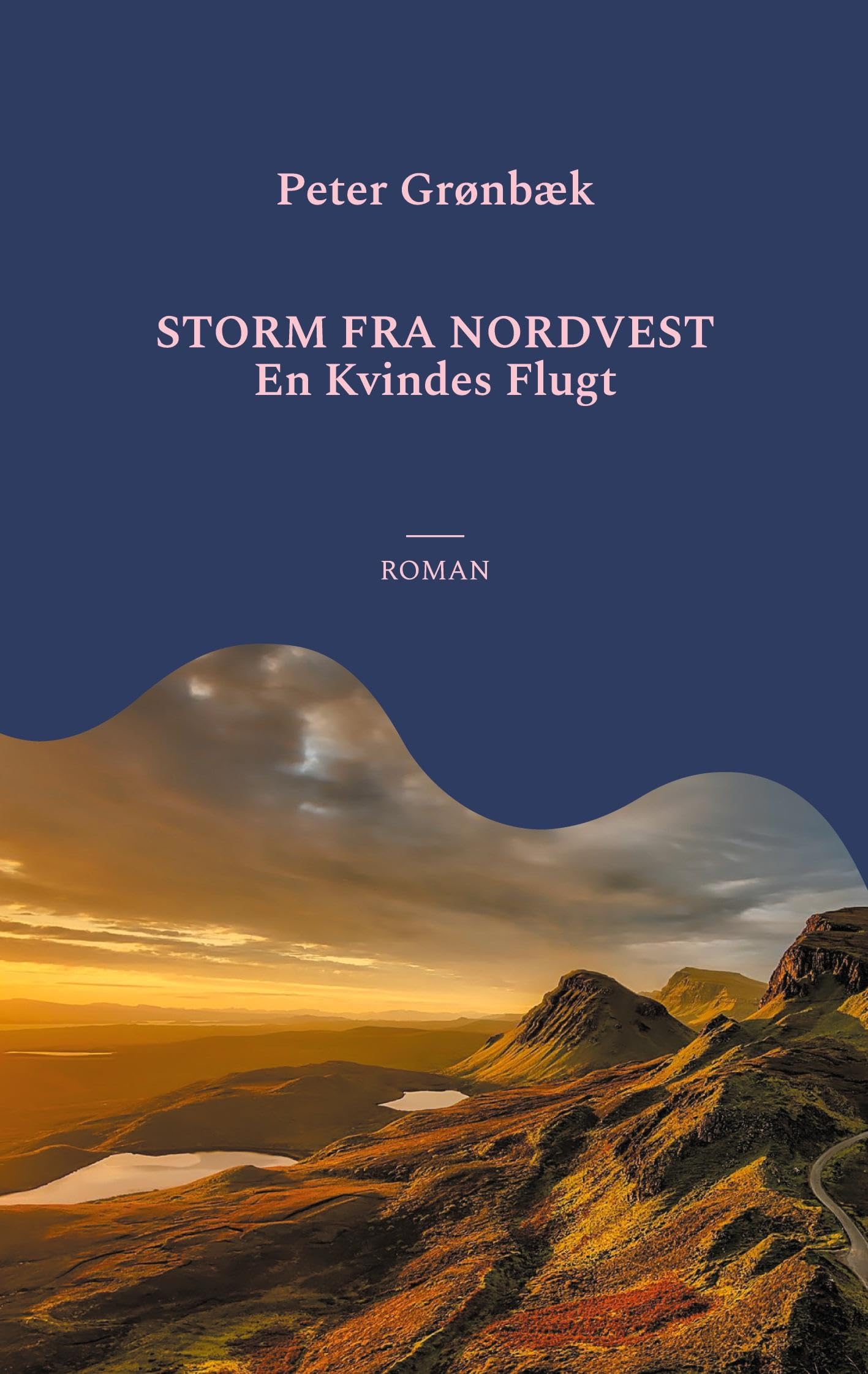 Storm fra nordvest Contemporary literature