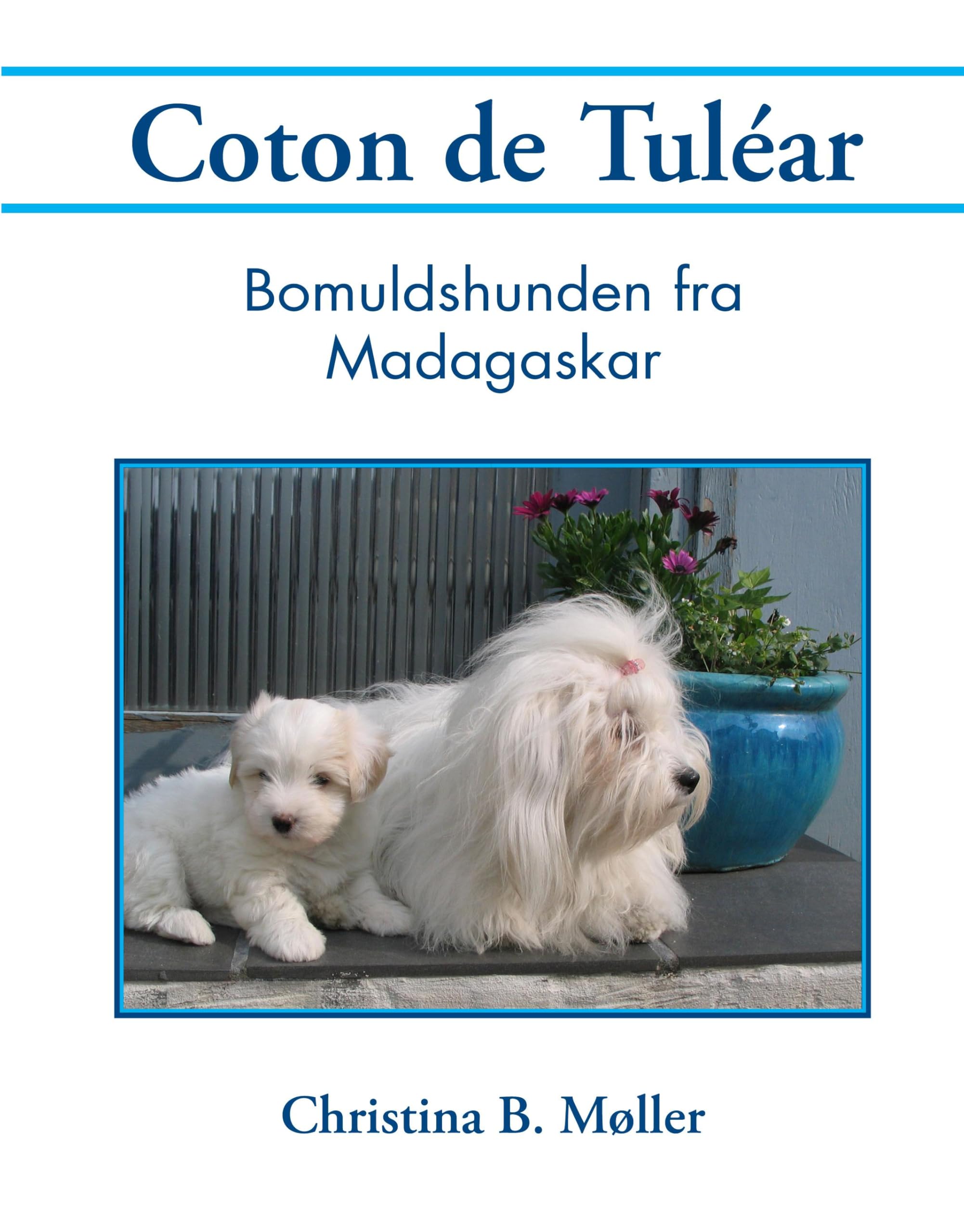 Product Image: Coton de Tuléar