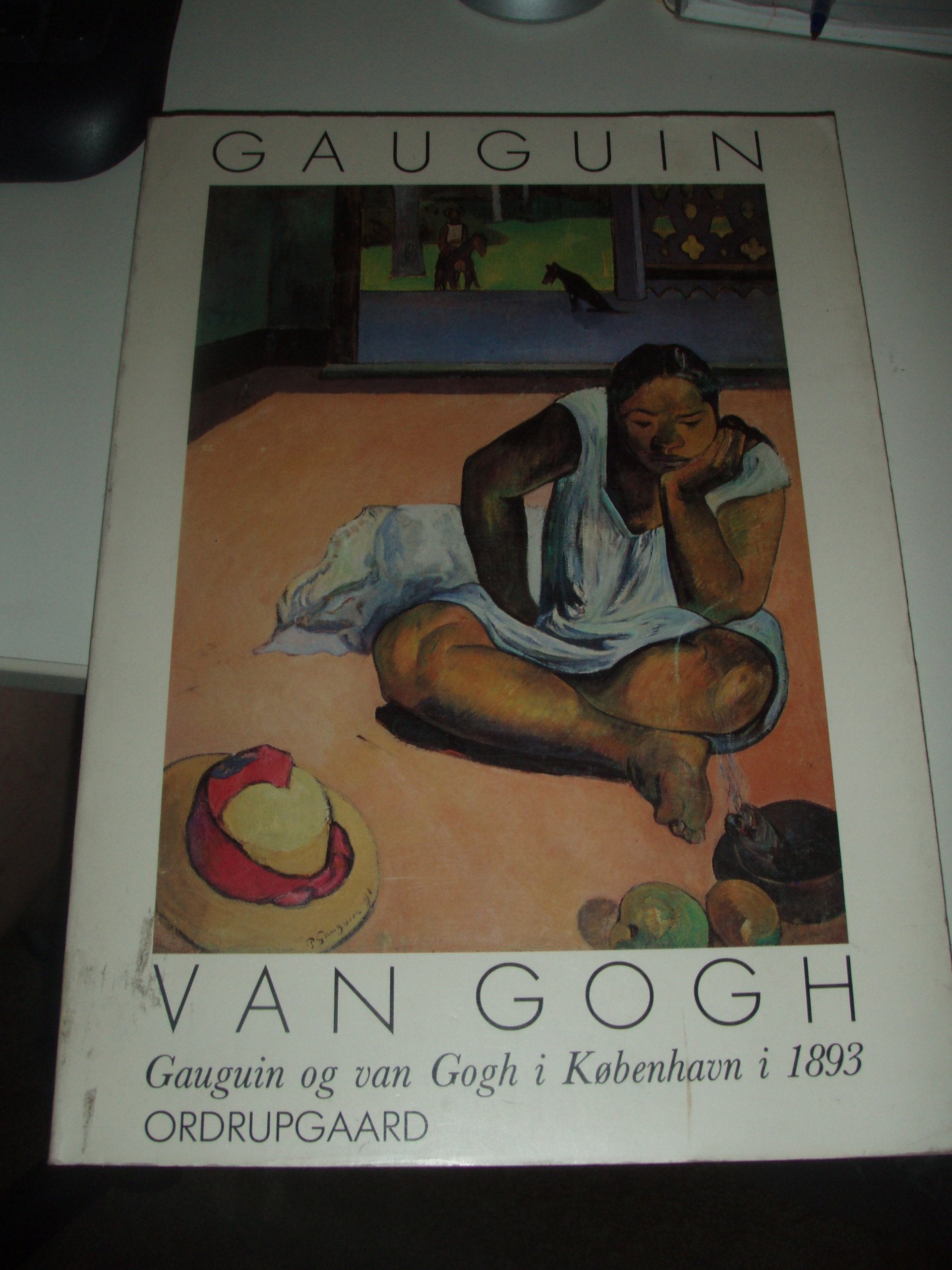 Gauguin og van Gogh i Københavni 1893 / Gauguin and van Gogh in Copenhagen in 1893 (Danish Edition) Books